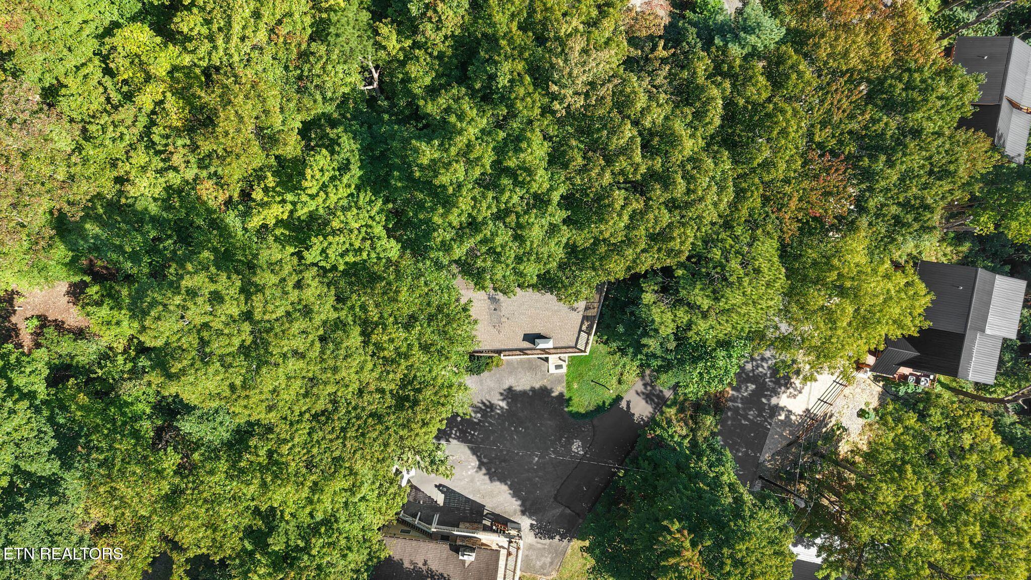 2123 Luzerne Drive Gatlinburg TN 37738