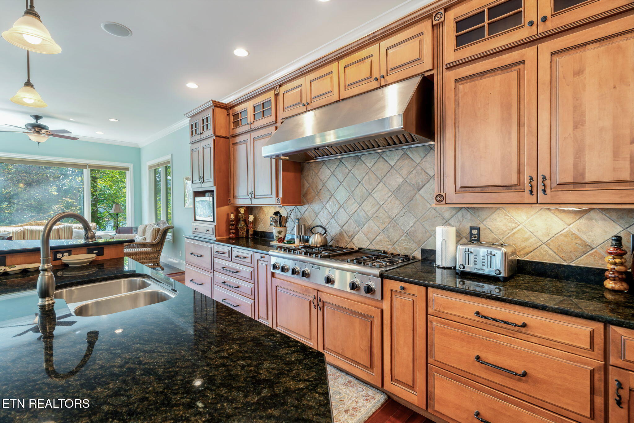 455 S Shorewood Lane Caryville TN 37714