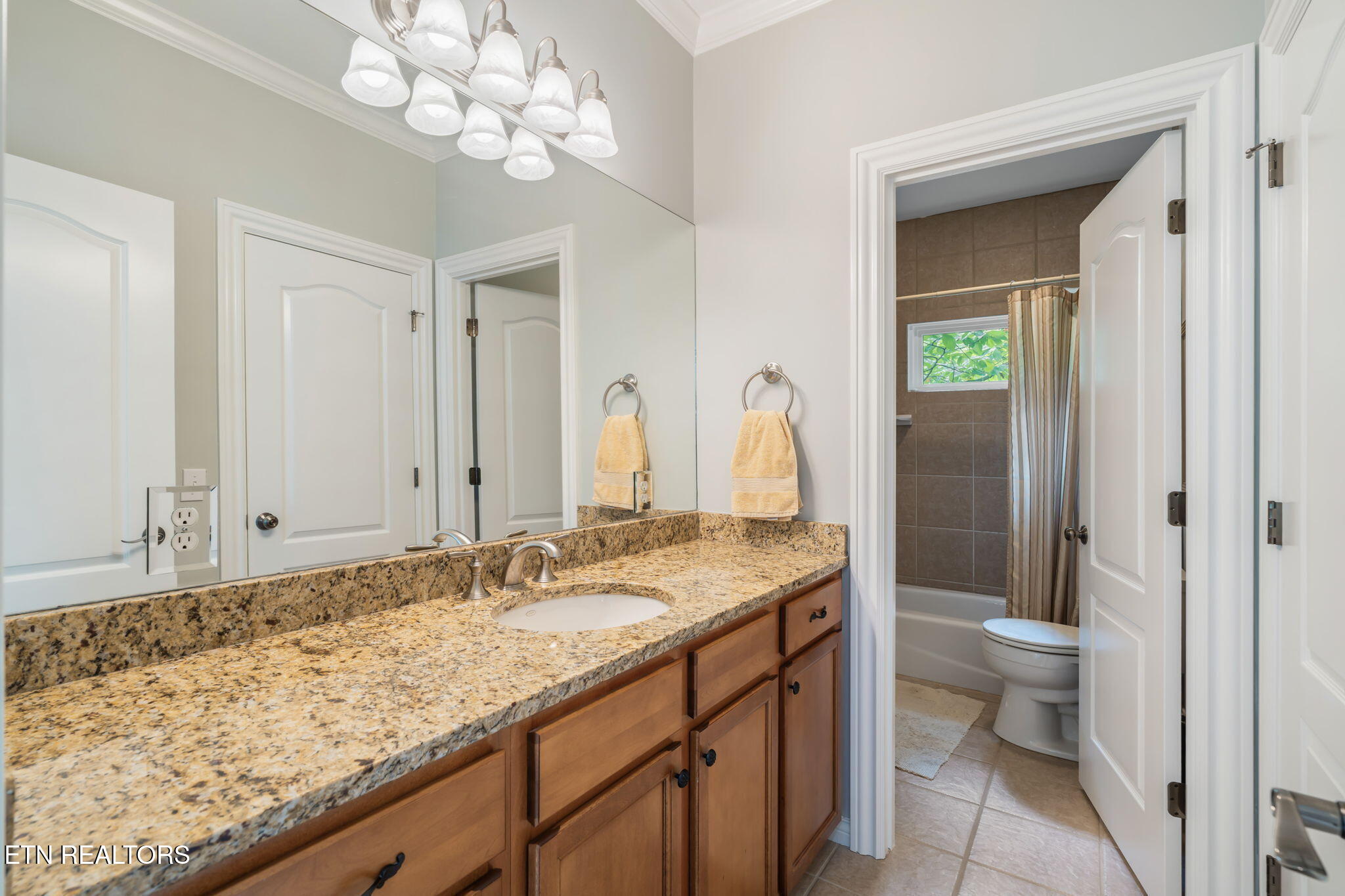 455 S Shorewood Lane Caryville TN 37714