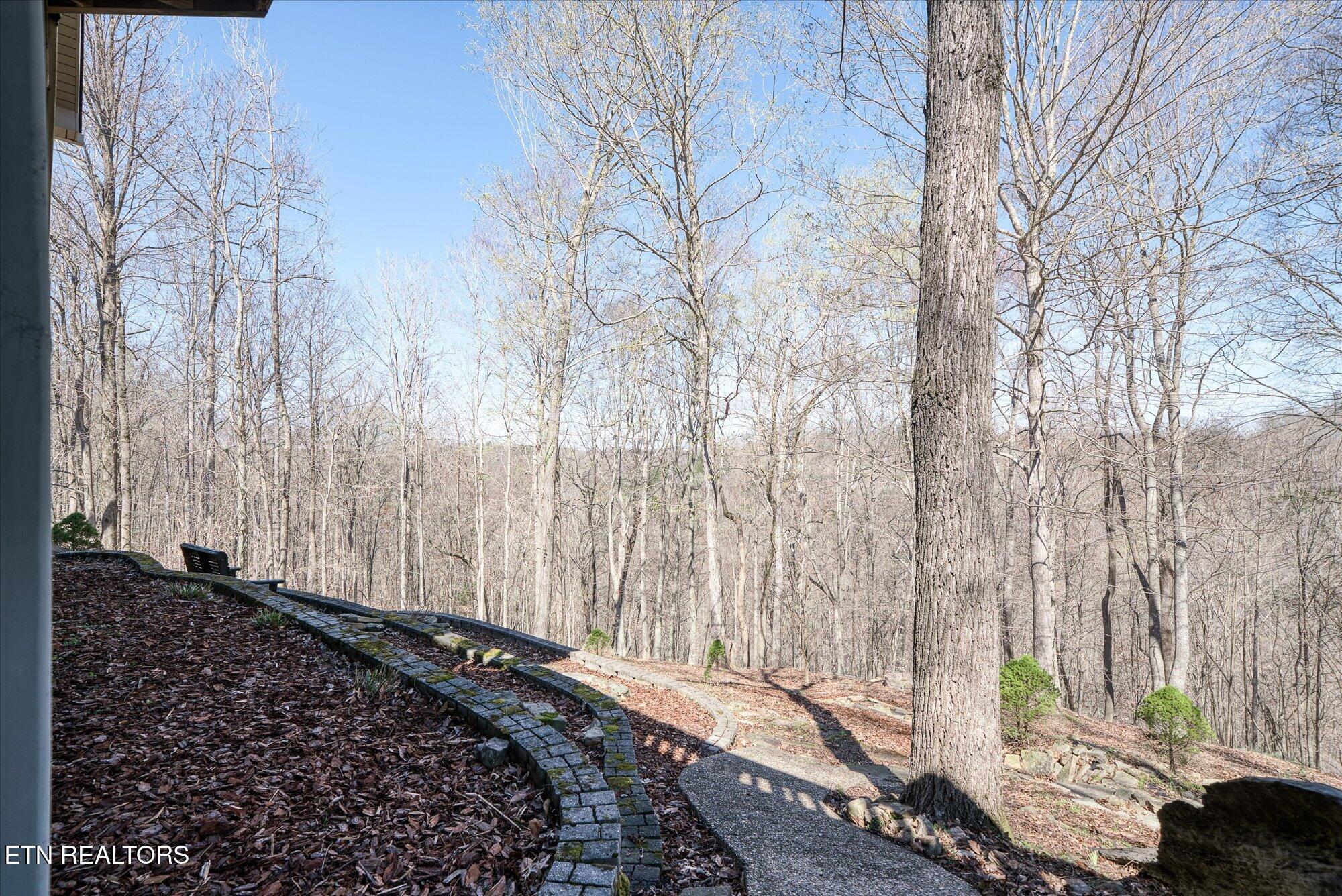 566 Mallard Pointe Road Byrdstown TN 38549