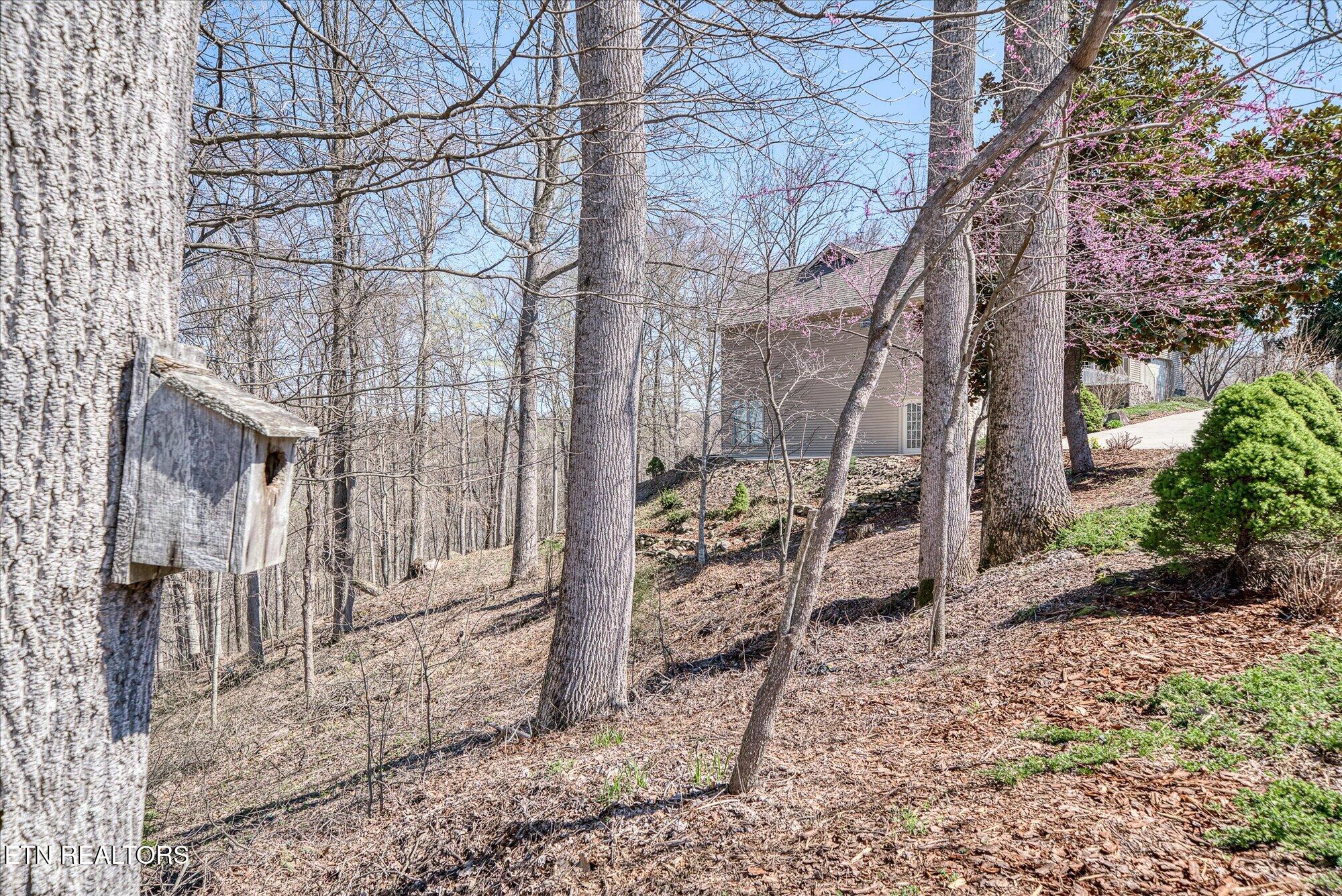 566 Mallard Pointe Road Byrdstown TN 38549