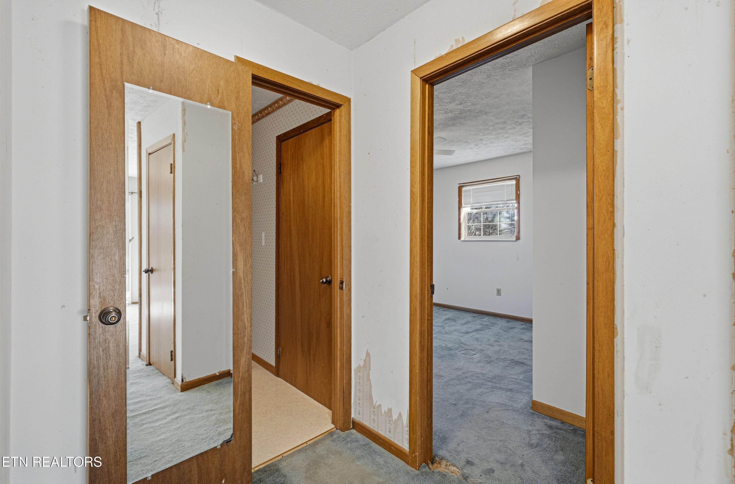 2812 Burnett Drive Kodak TN 37764