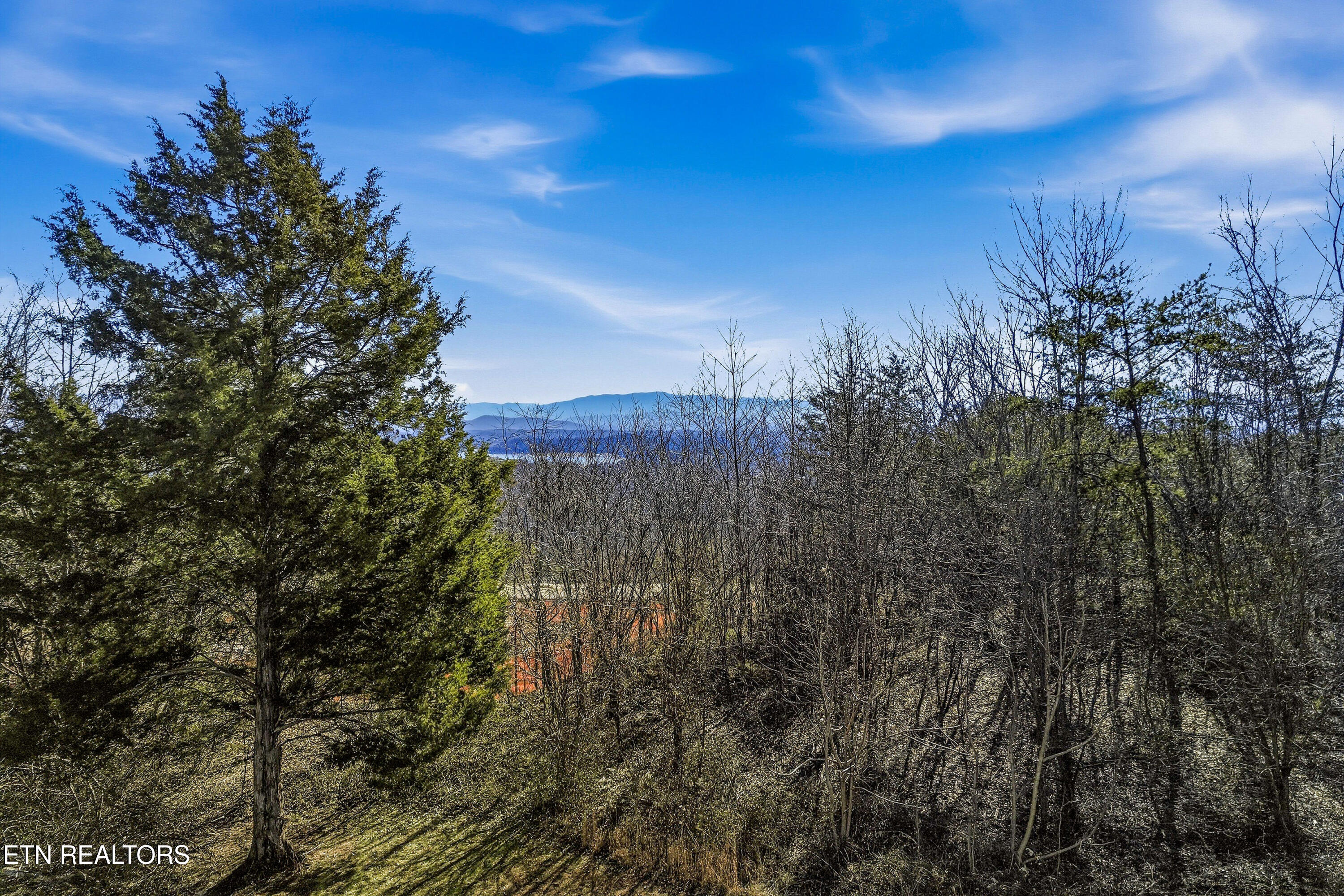 2812 Burnett Drive Kodak TN 37764