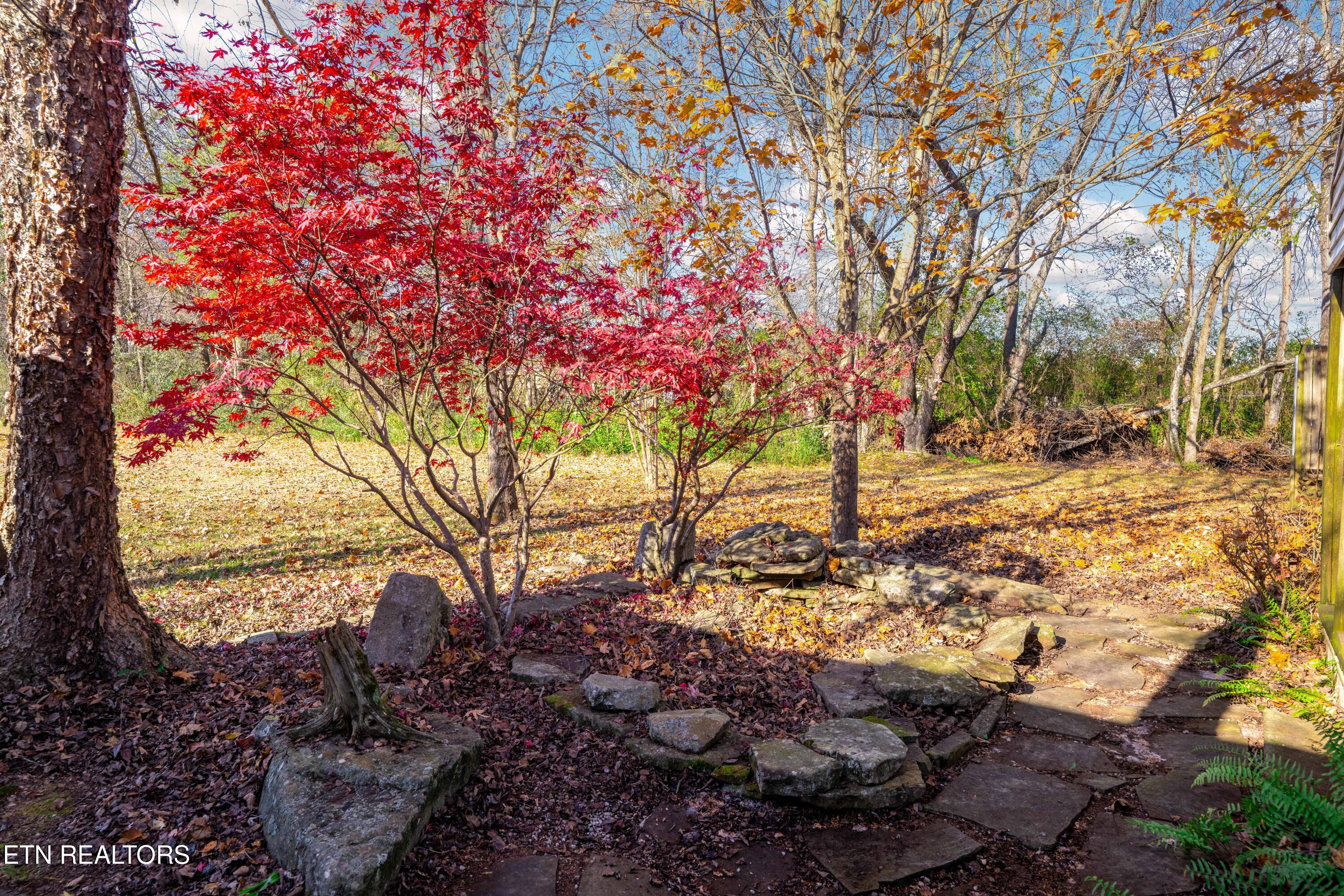 267 Williams Road Dunlap TN 37327