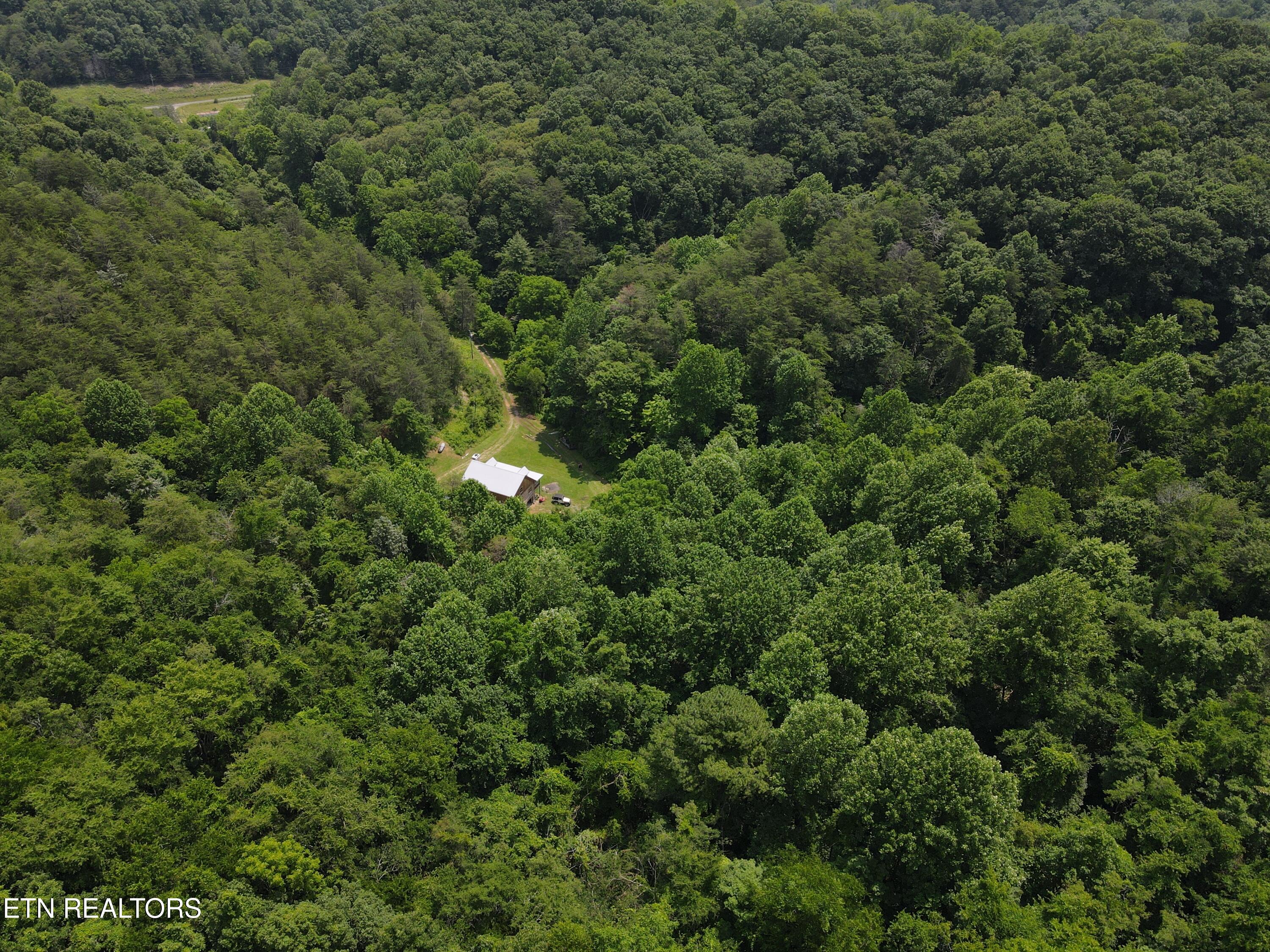 453 Trentham Hollow Road Parrottsville TN 37843