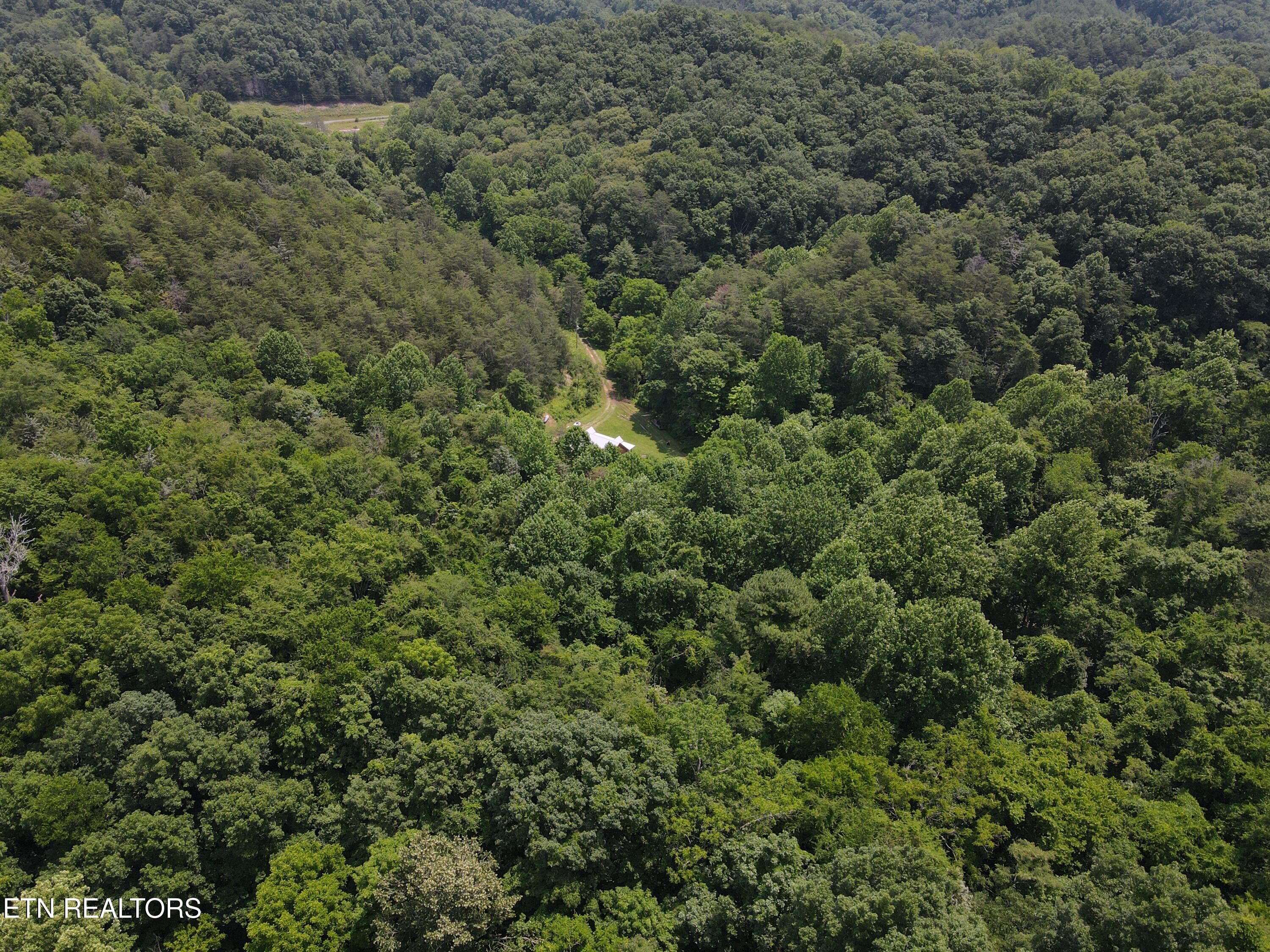 453 Trentham Hollow Road Parrottsville TN 37843