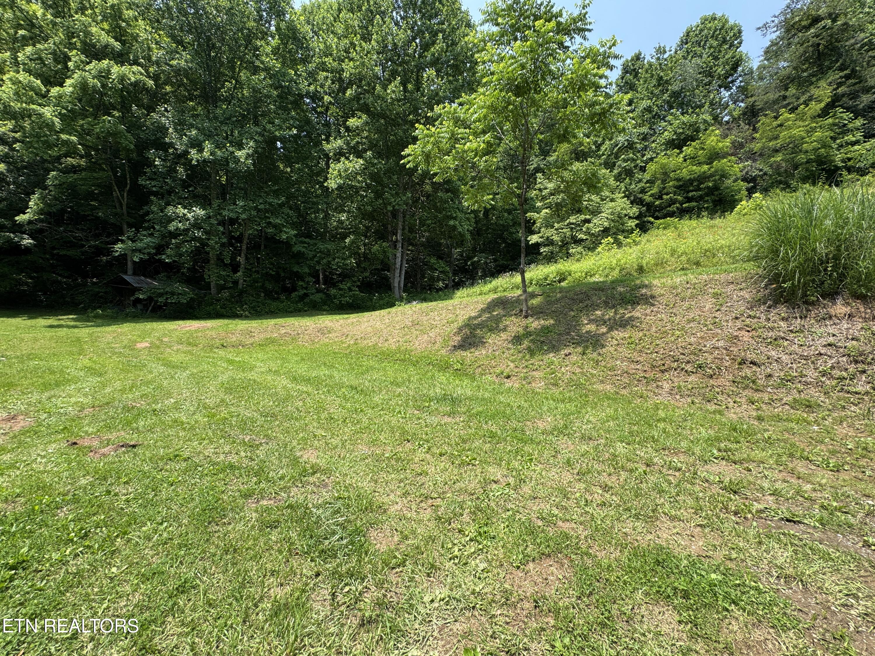 453 Trentham Hollow Road Parrottsville TN 37843