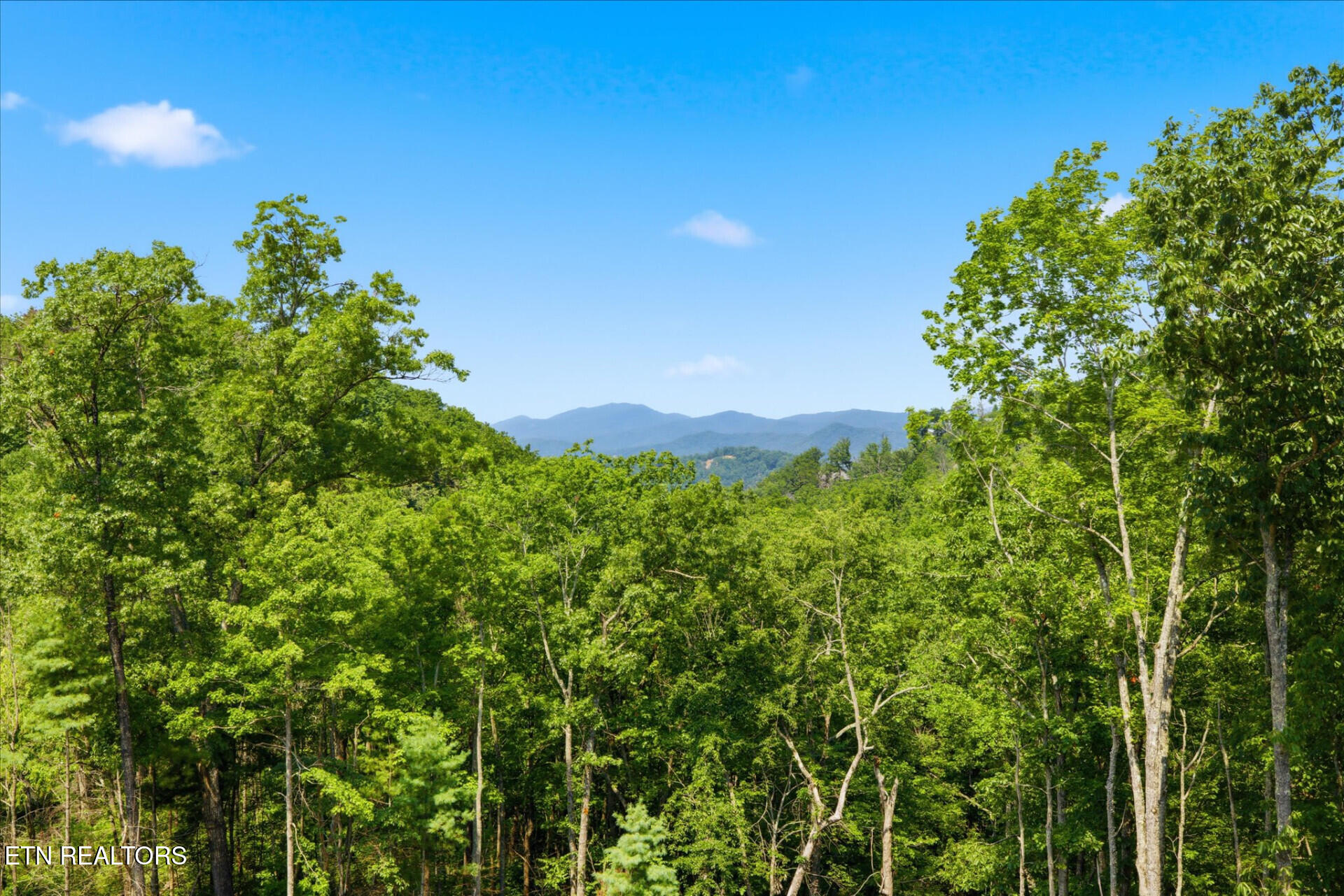 2046 Spurling Road Sevierville TN 37862