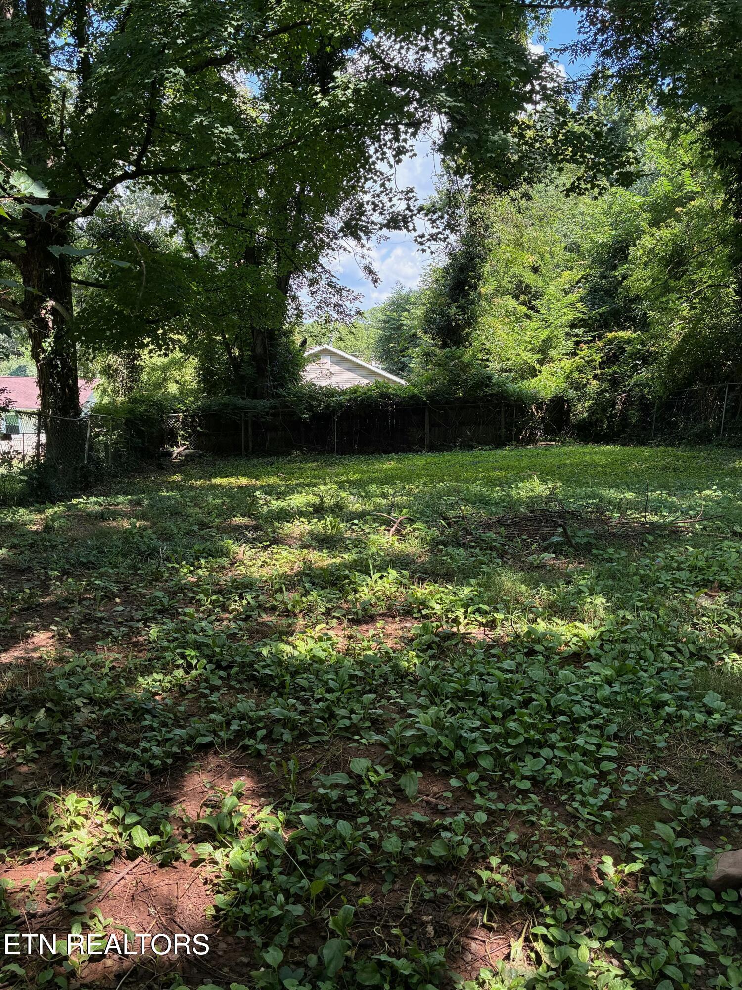 2533 Seaton Avenue Knoxville TN 37920
