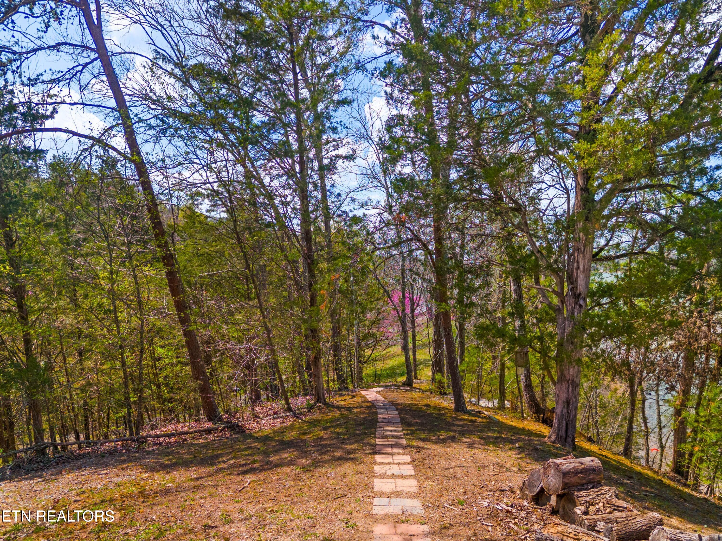 2017 Paradise Hills Road Dandridge TN 37725