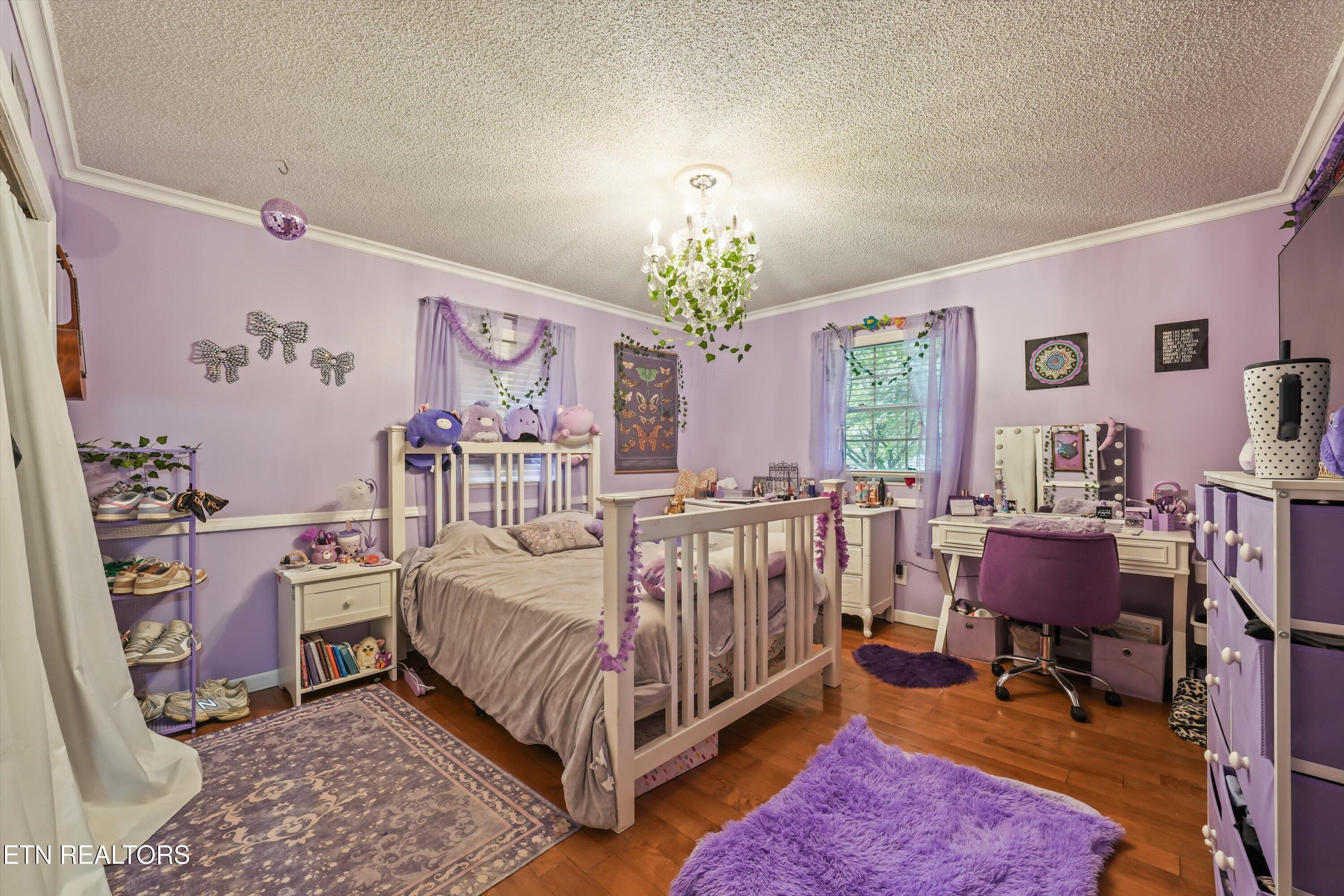 1335 Beechview Drive Sevierville TN 37862