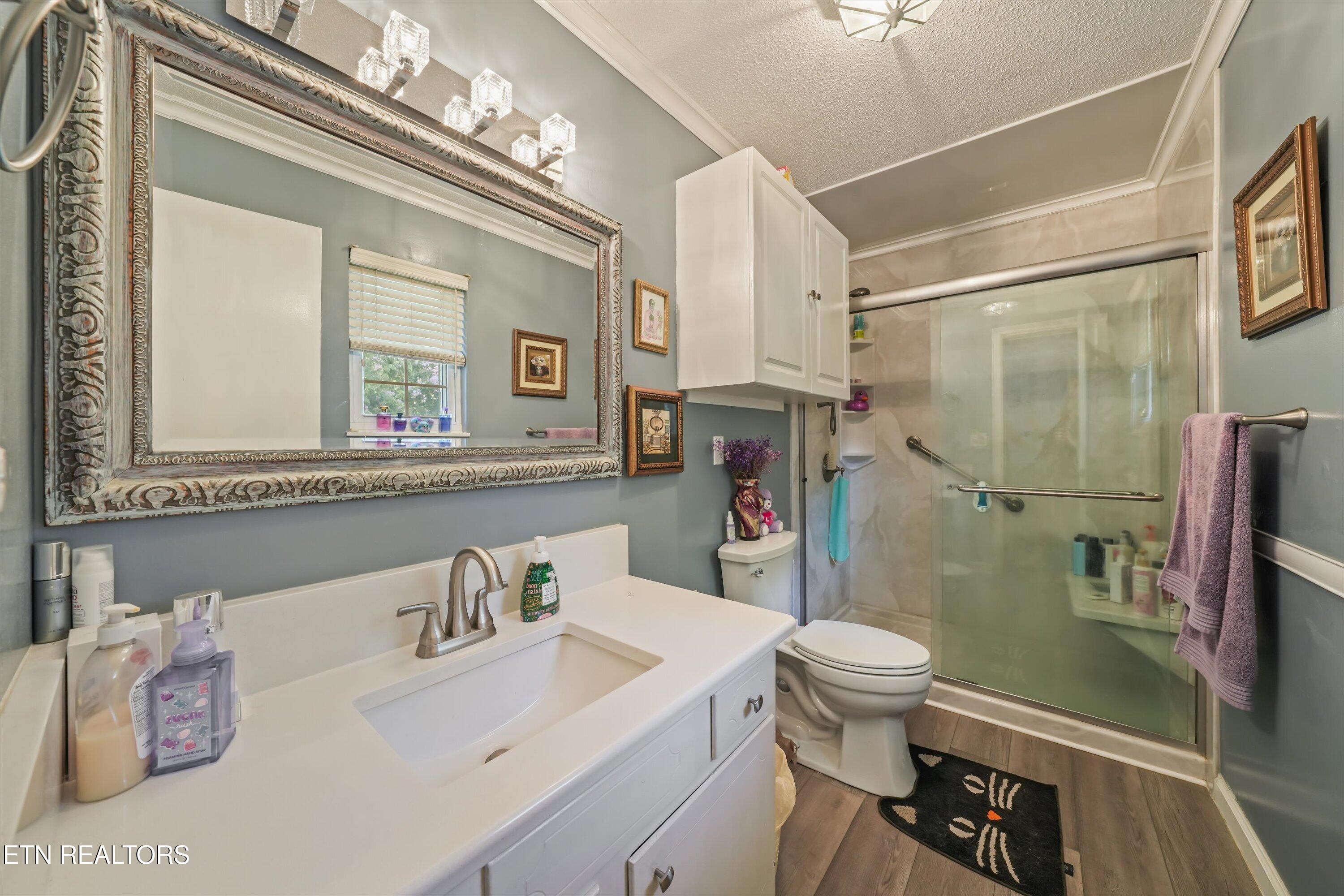 1335 Beechview Drive Sevierville TN 37862