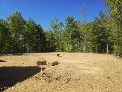186 Short Leaf Lane Oneida TN 37841