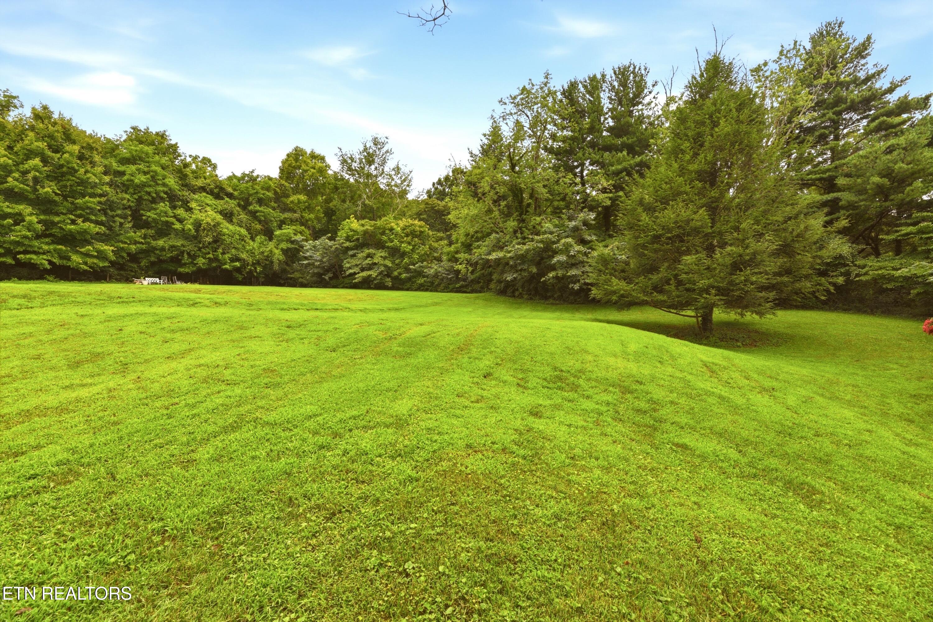 1509 Cedar Lane Knoxville TN 37918