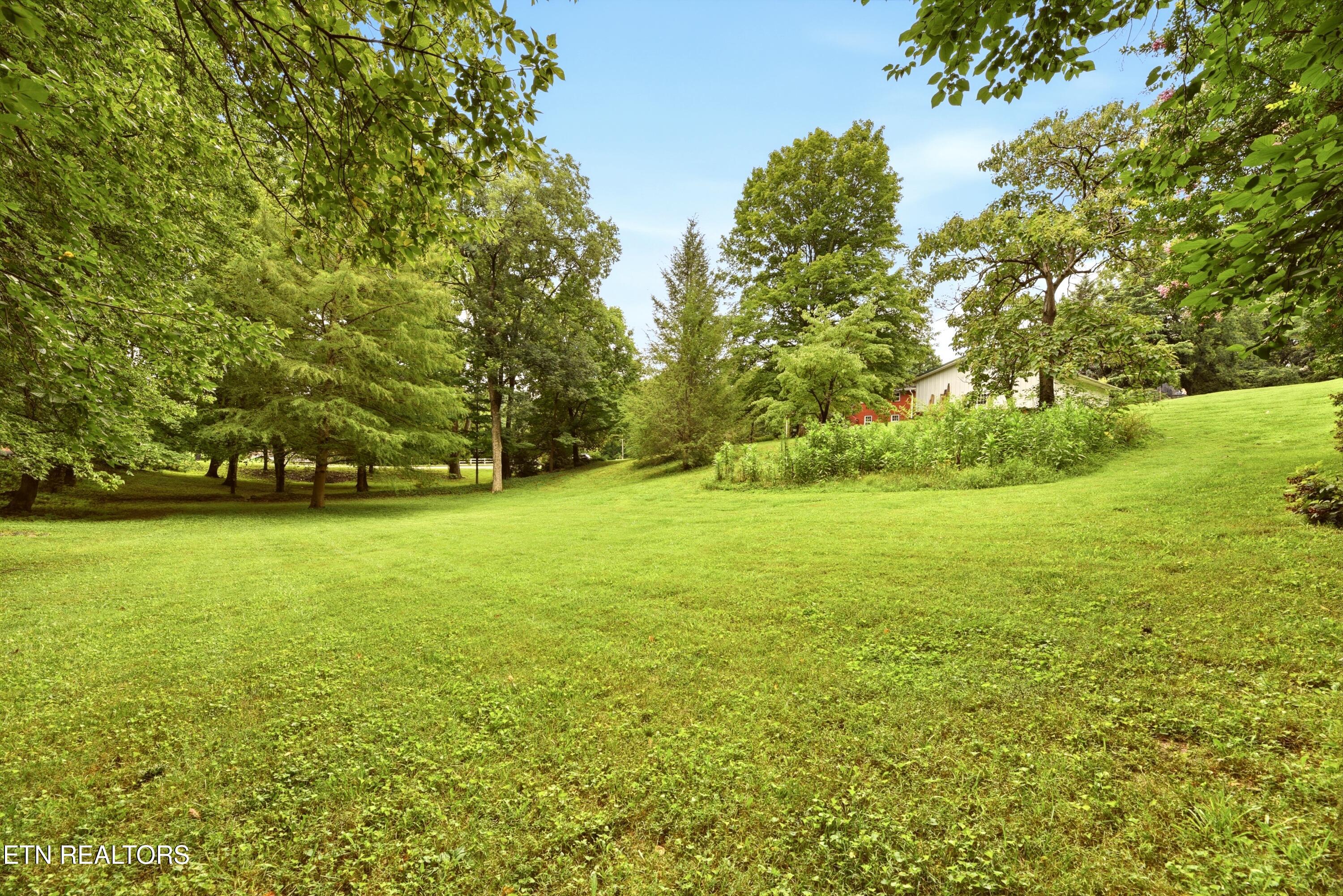 1509 Cedar Lane Knoxville TN 37918