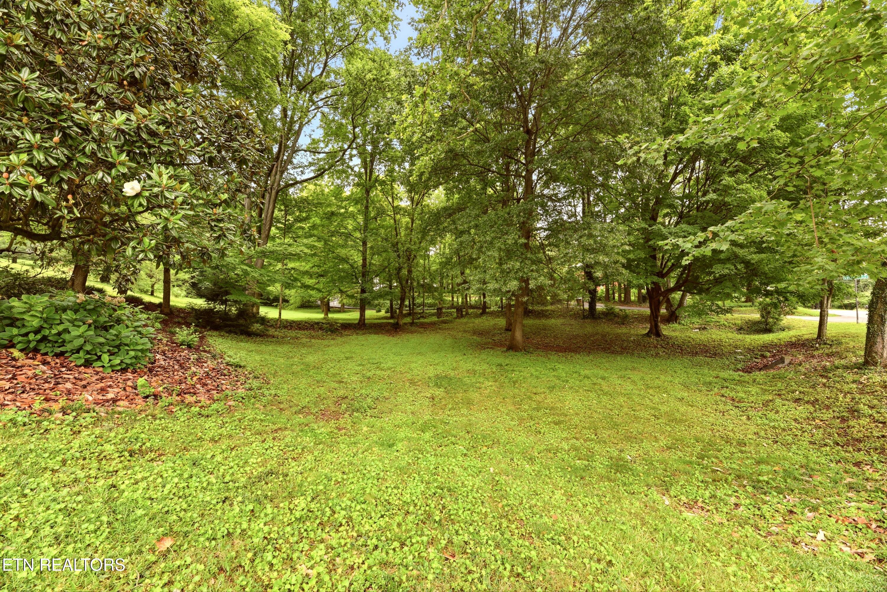 1509 Cedar Lane Knoxville TN 37918