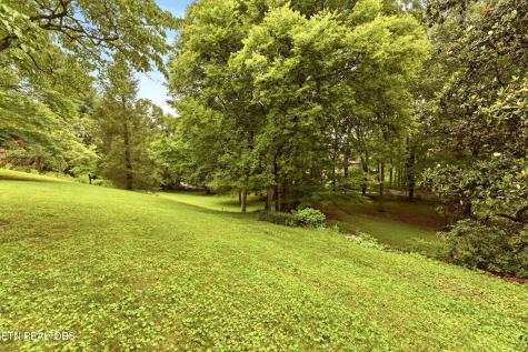 1509 Cedar Lane Knoxville TN 37918