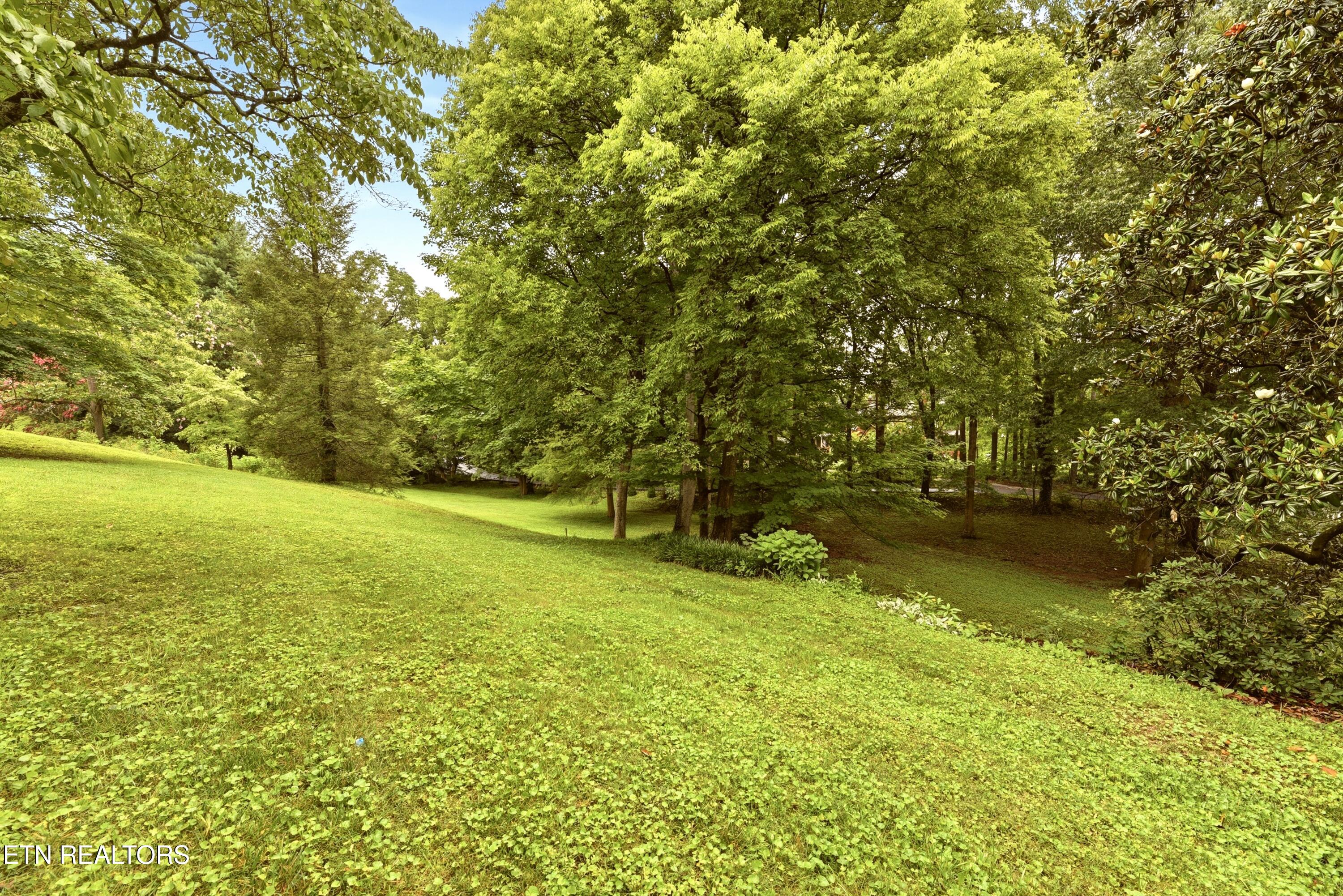 1509 Cedar Lane Knoxville TN 37918