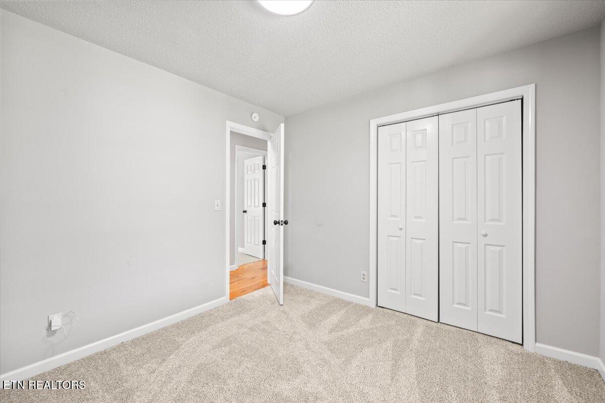 190 Dogwood Road Caryville TN 37714