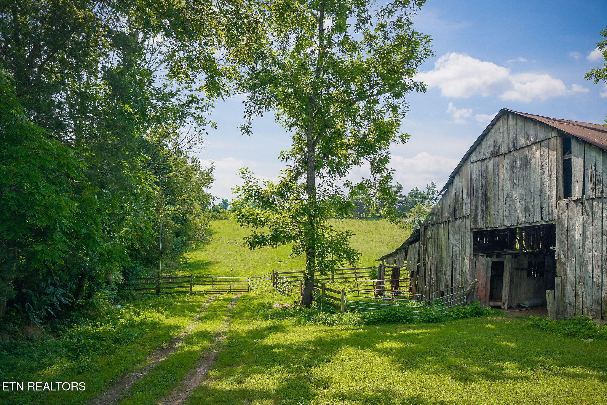 3908 Lost Creek Road Sparta TN 38583