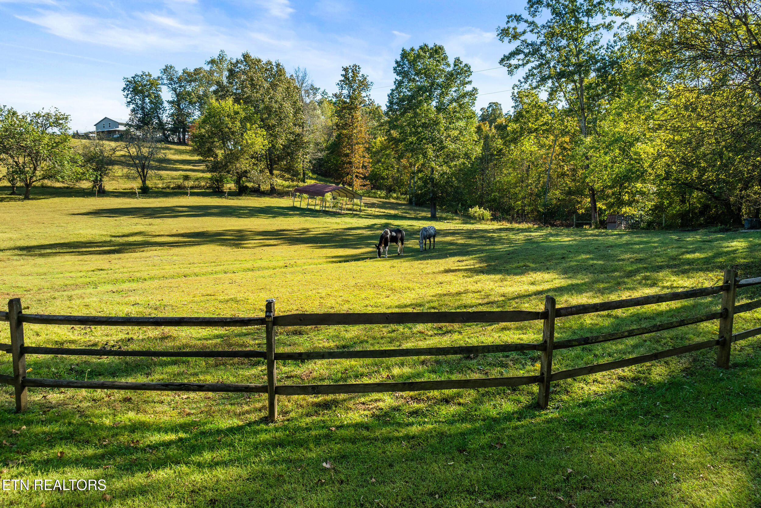 228 Pattie Gap Road Philadelphia TN 37846