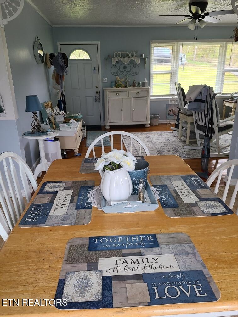 455 Jennings Creek Highway Gainesboro TN 38562
