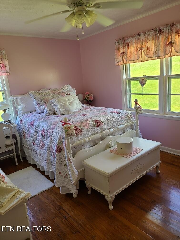 455 Jennings Creek Highway Gainesboro TN 38562