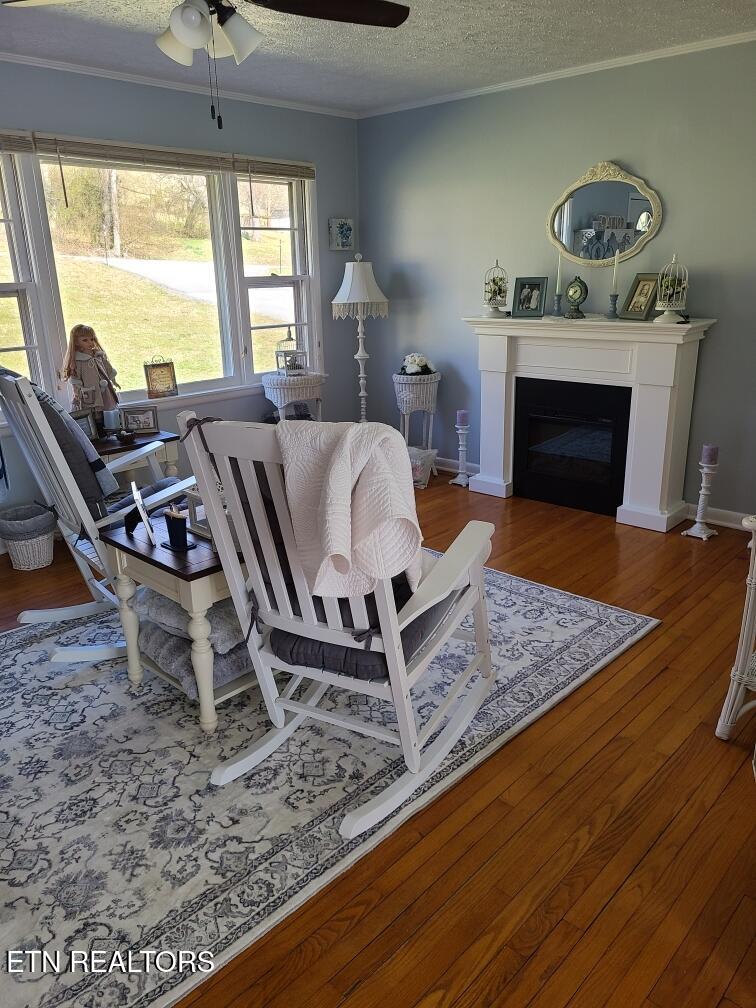 455 Jennings Creek Highway Gainesboro TN 38562