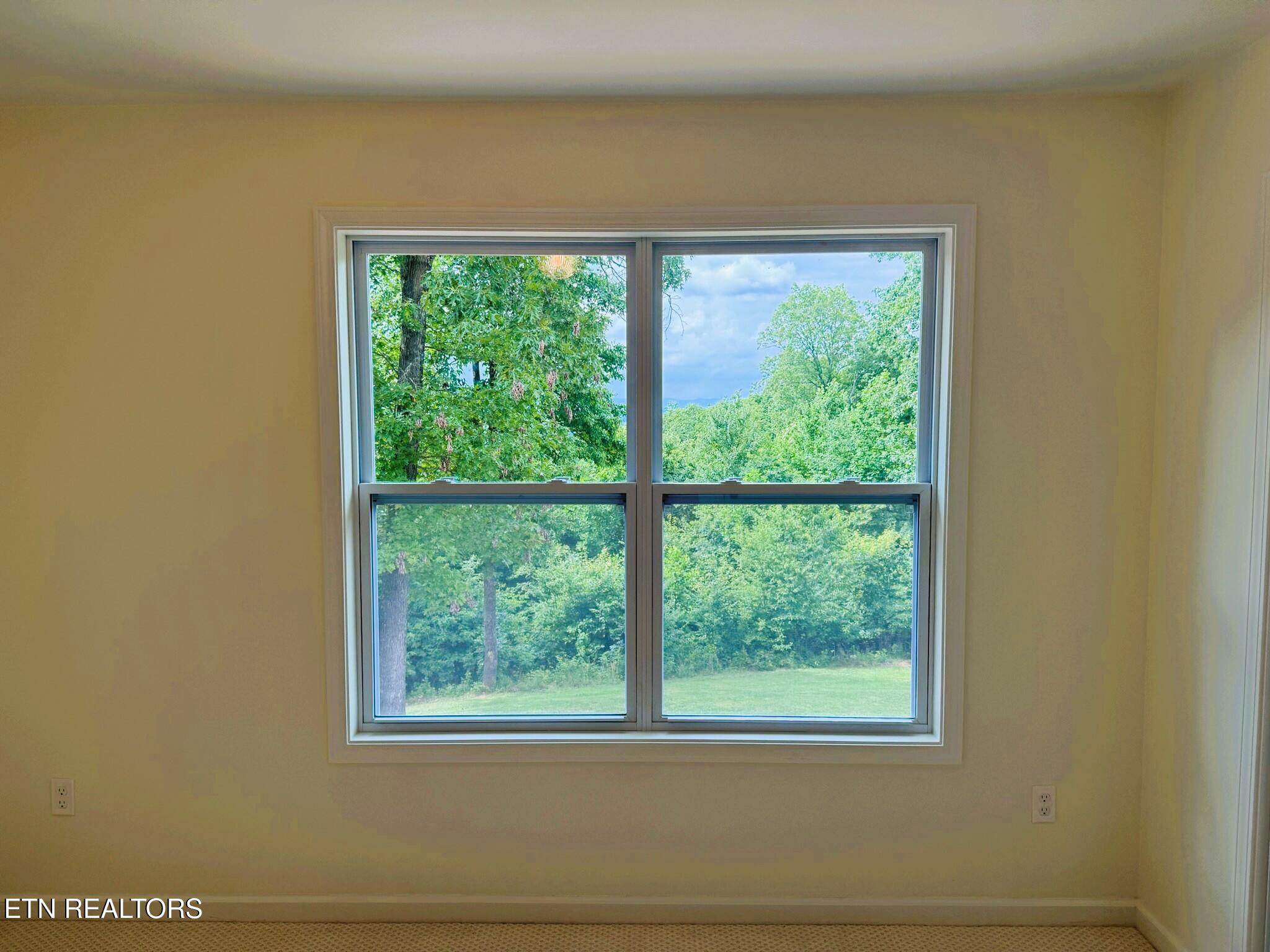 251 Topaz Lane New Tazewell TN 37825