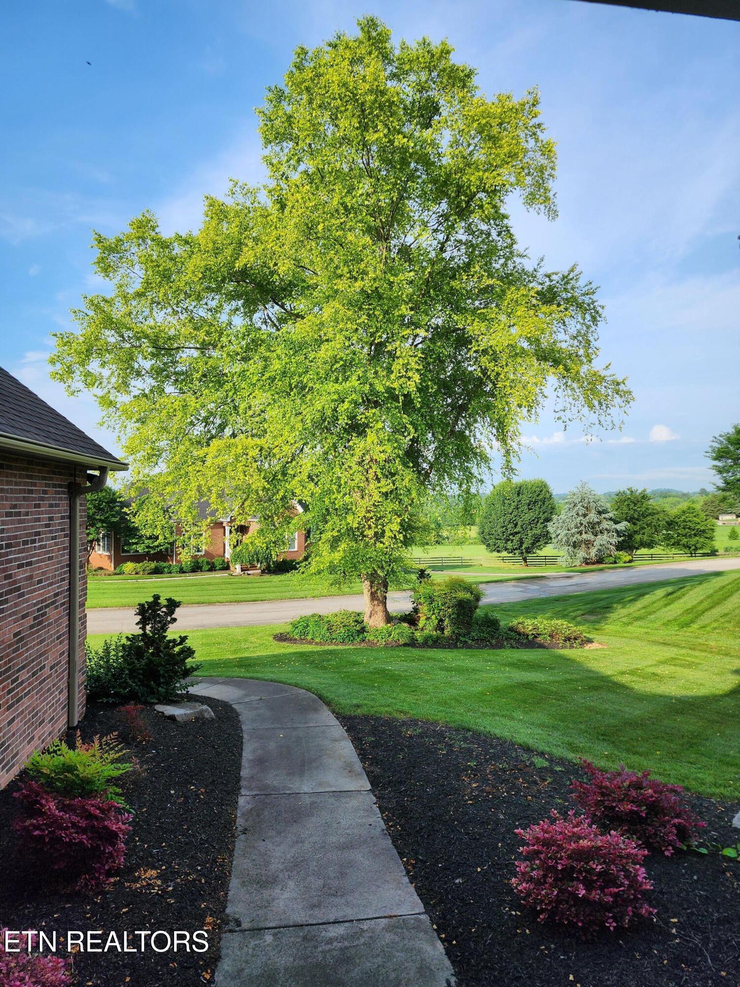 7320 Meadow Creek Trail Knoxville TN 37931
