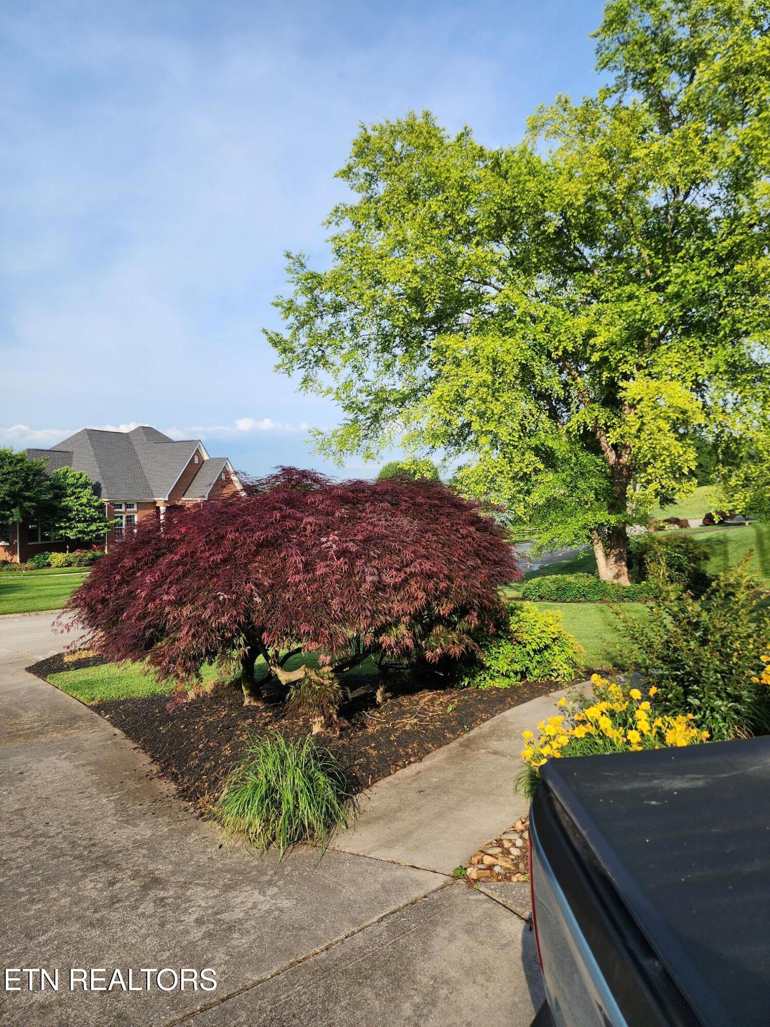 7320 Meadow Creek Trail Knoxville TN 37931