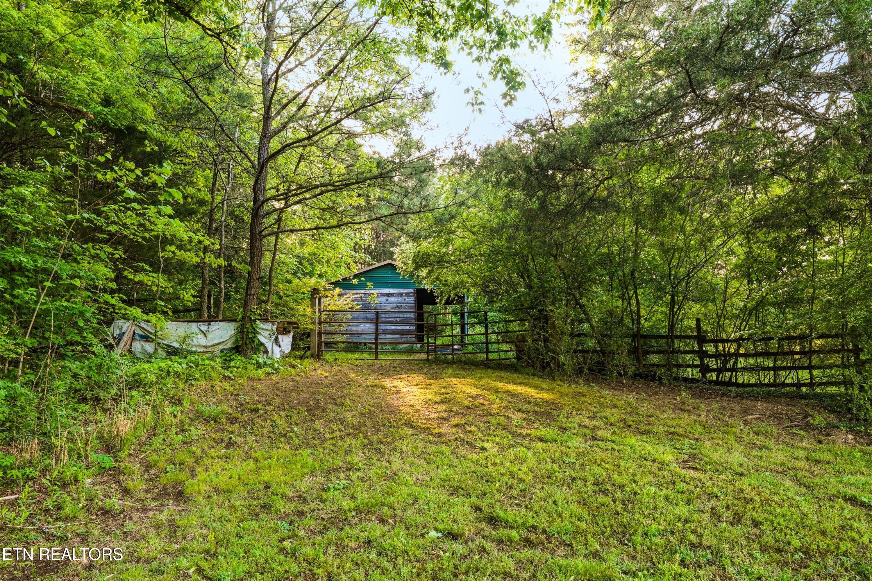 1119 County Road 130 Riceville TN 37370