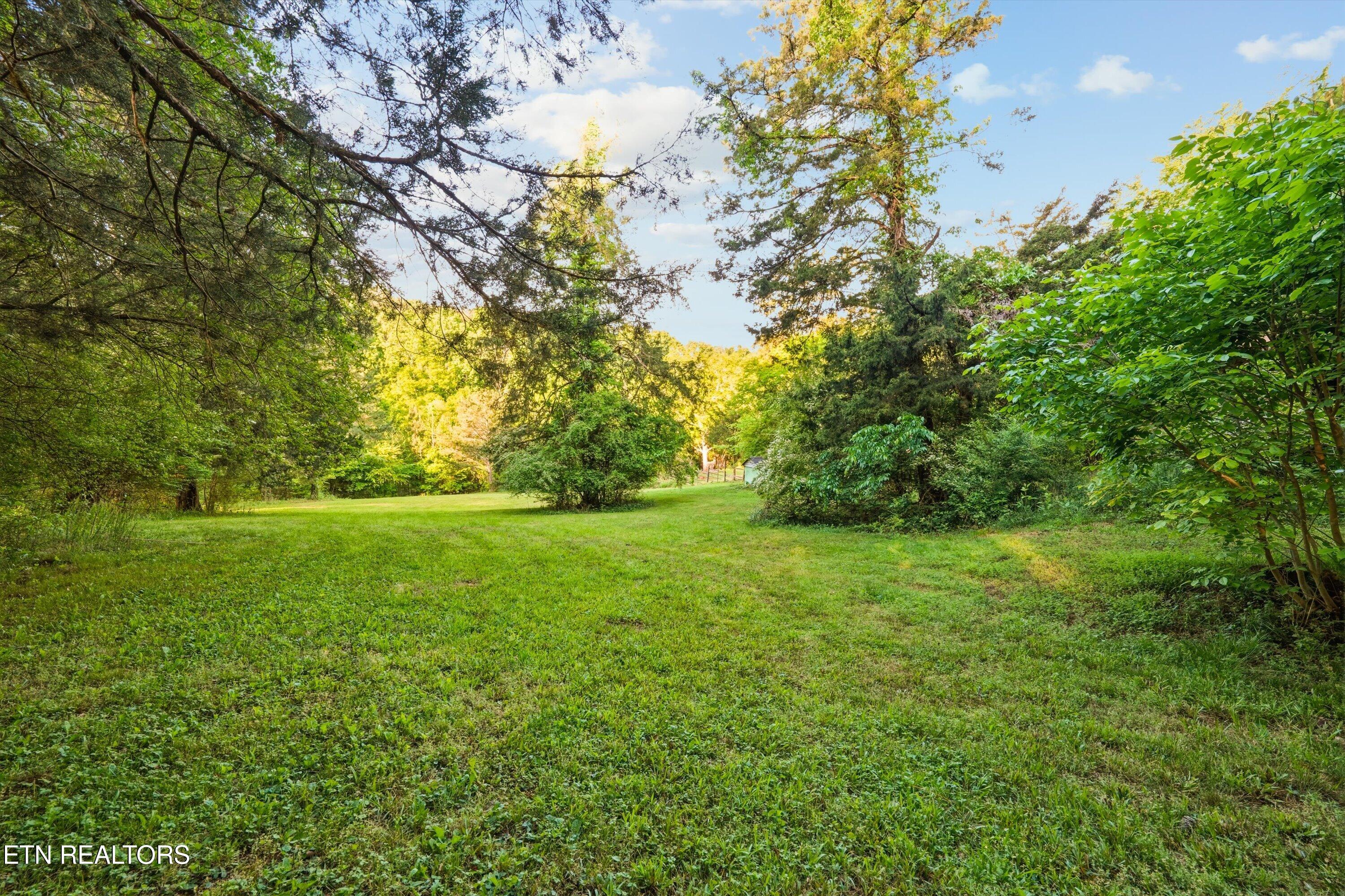 1119 County Road 130 Riceville TN 37370