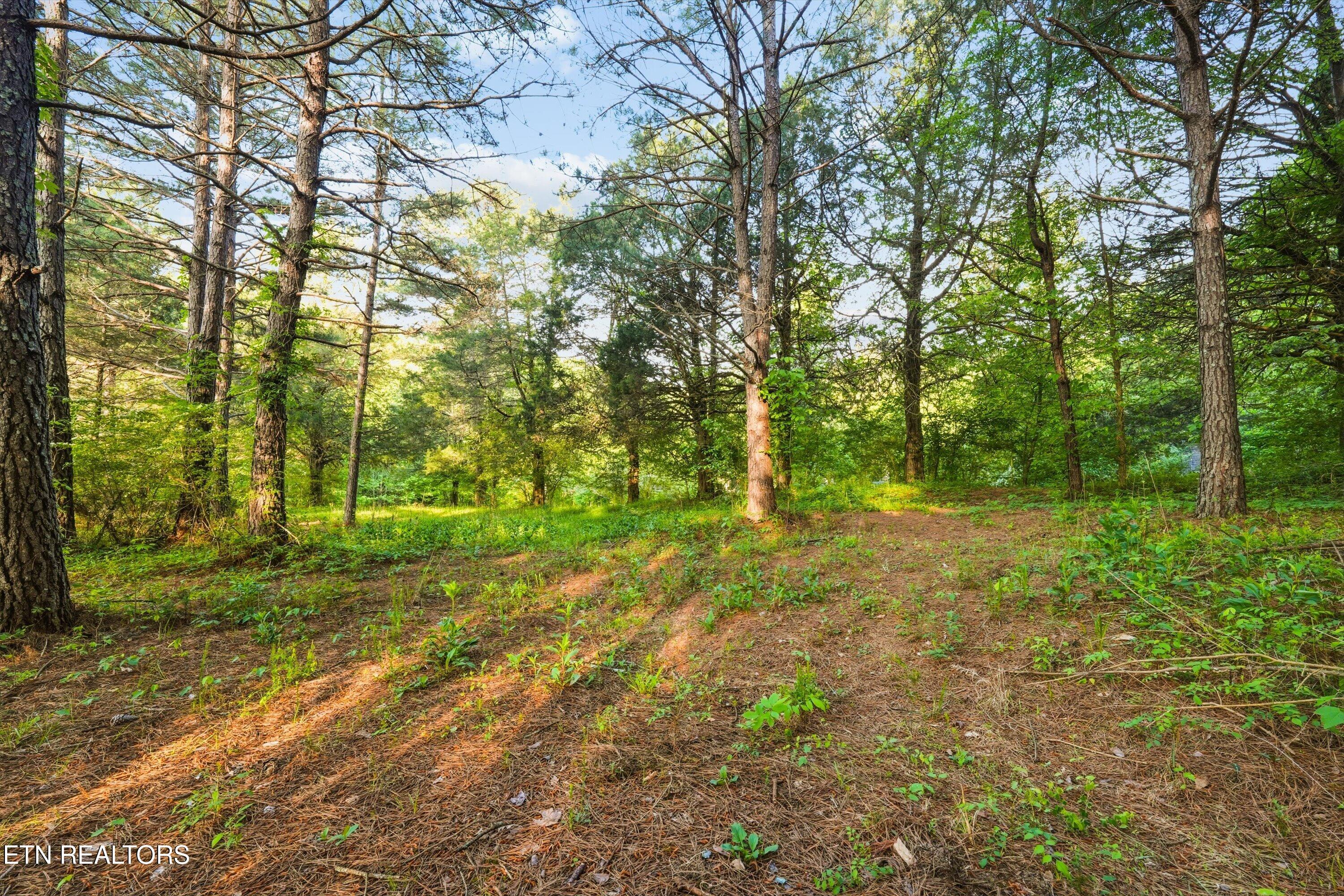 1119 County Road 130 Riceville TN 37370