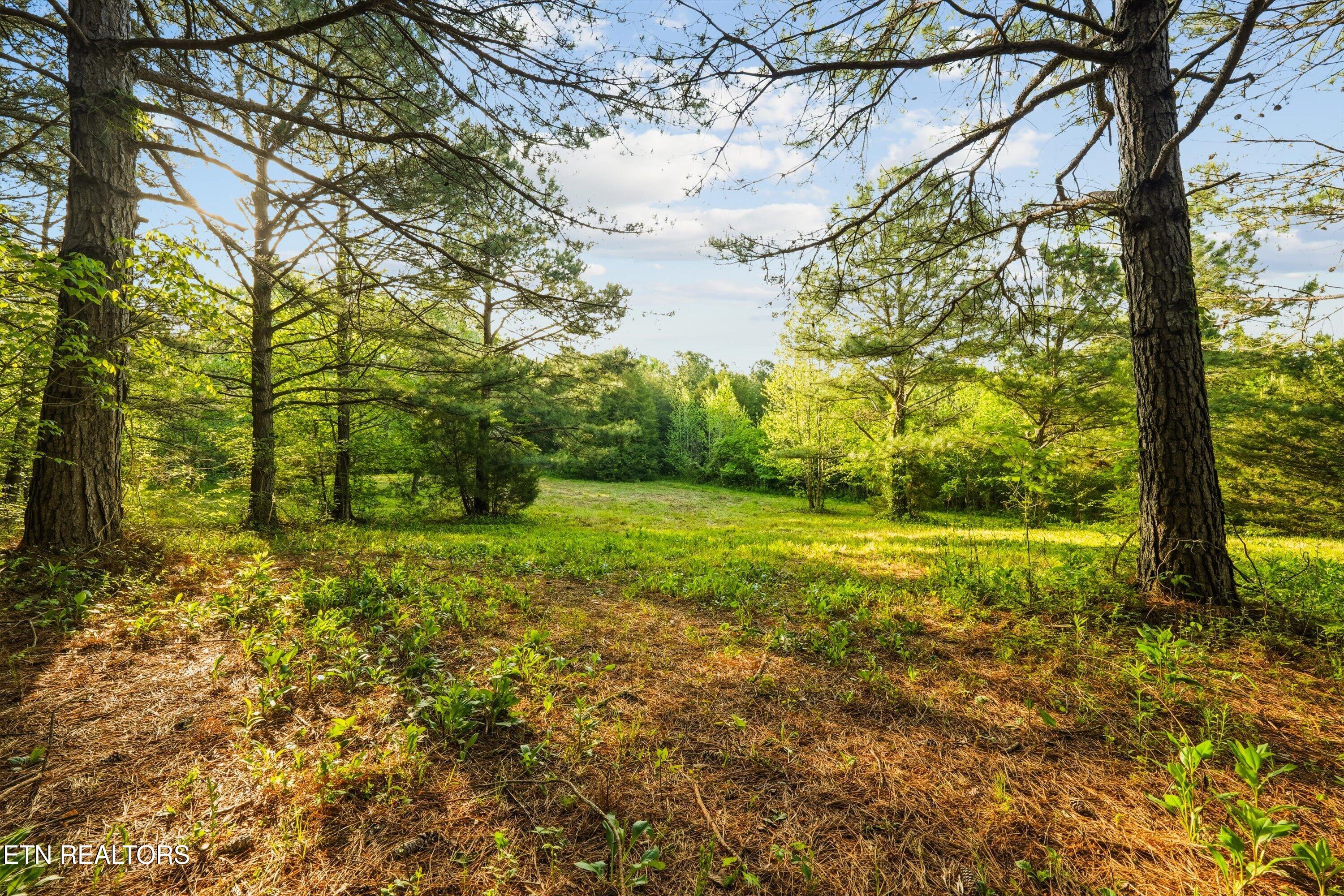 1119 County Road 130 Riceville TN 37370
