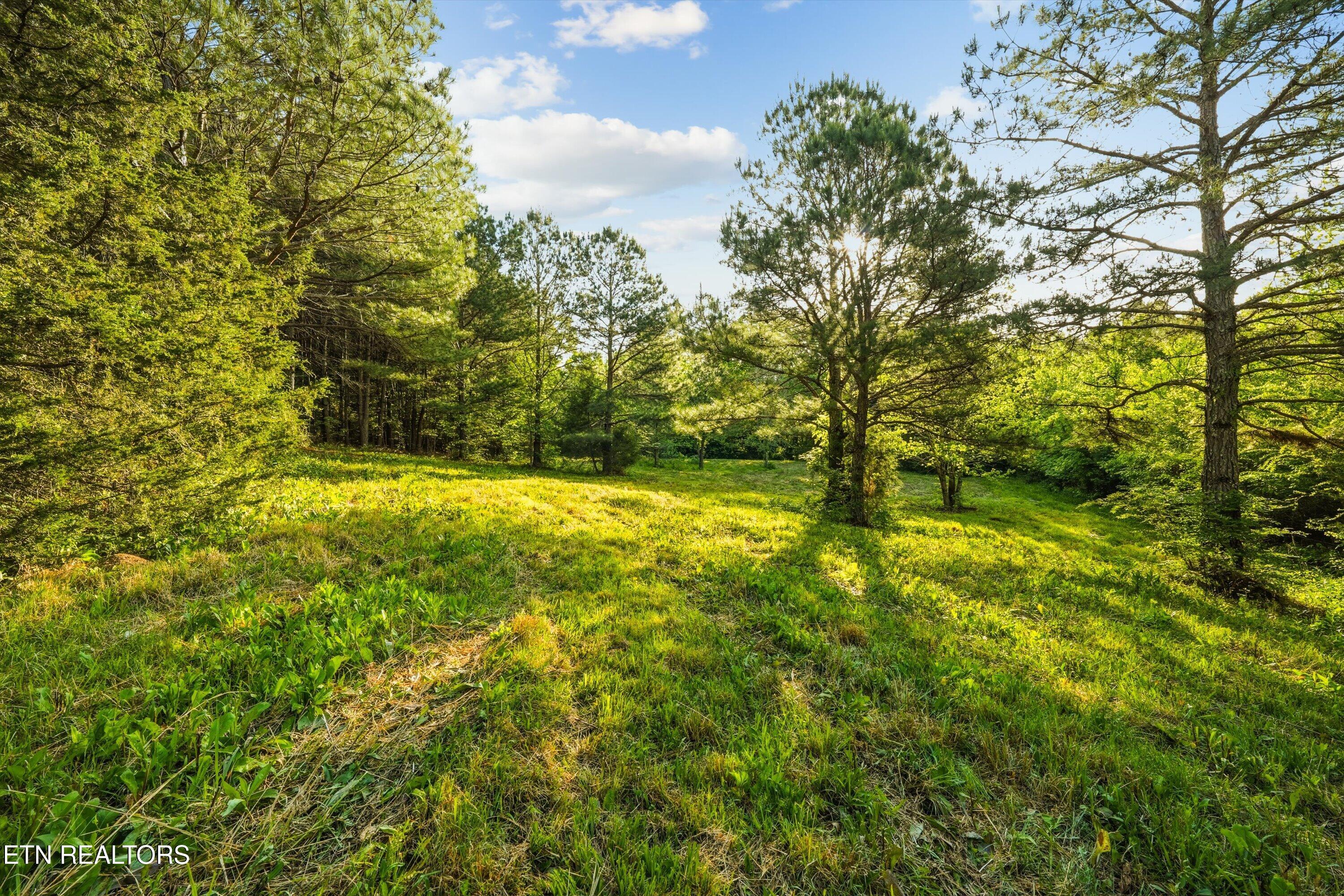 1119 County Road 130 Riceville TN 37370