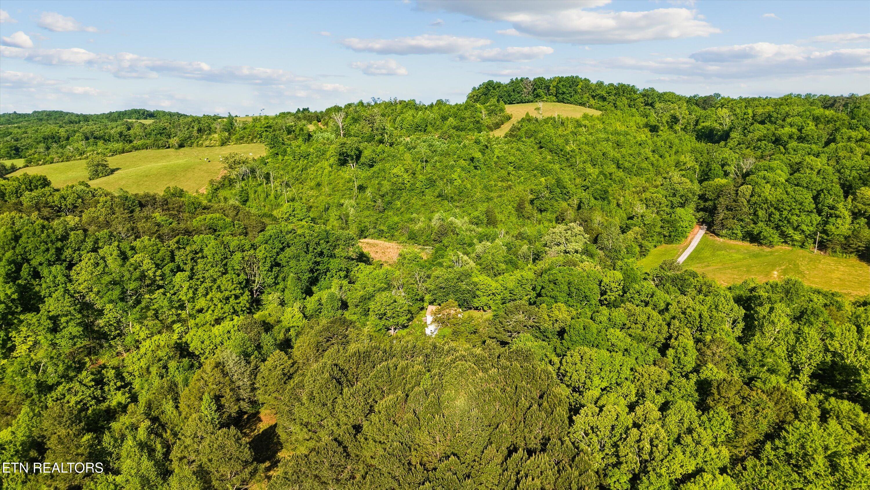 1119 County Road 130 Riceville TN 37370