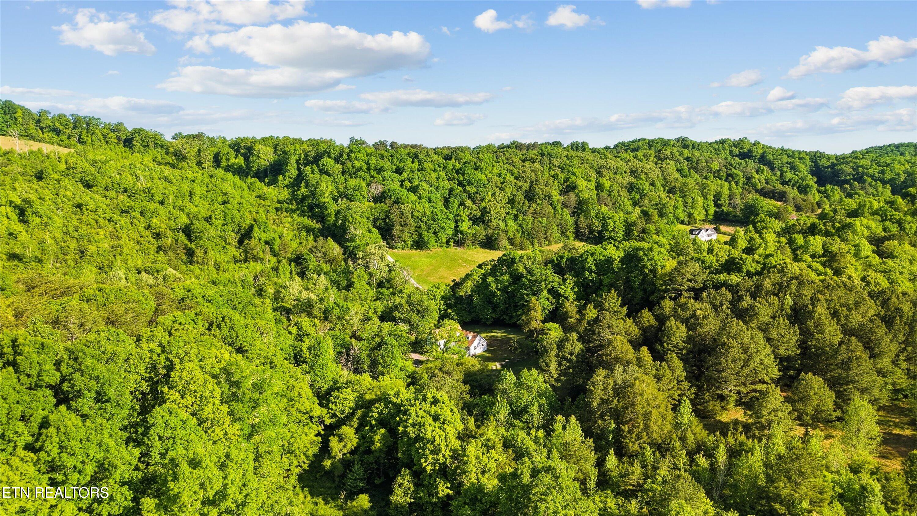 1119 County Road 130 Riceville TN 37370
