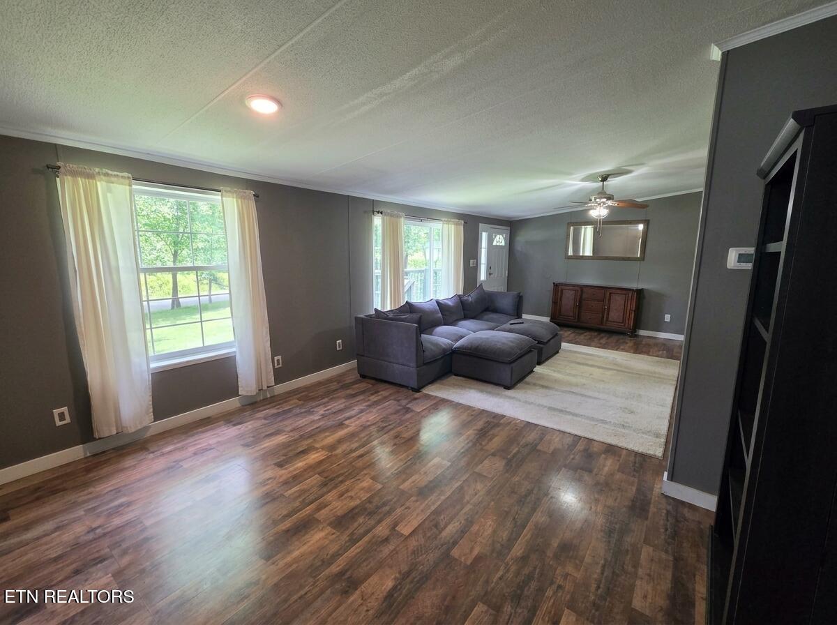 419 Tulip Avenue Jamestown TN 38556