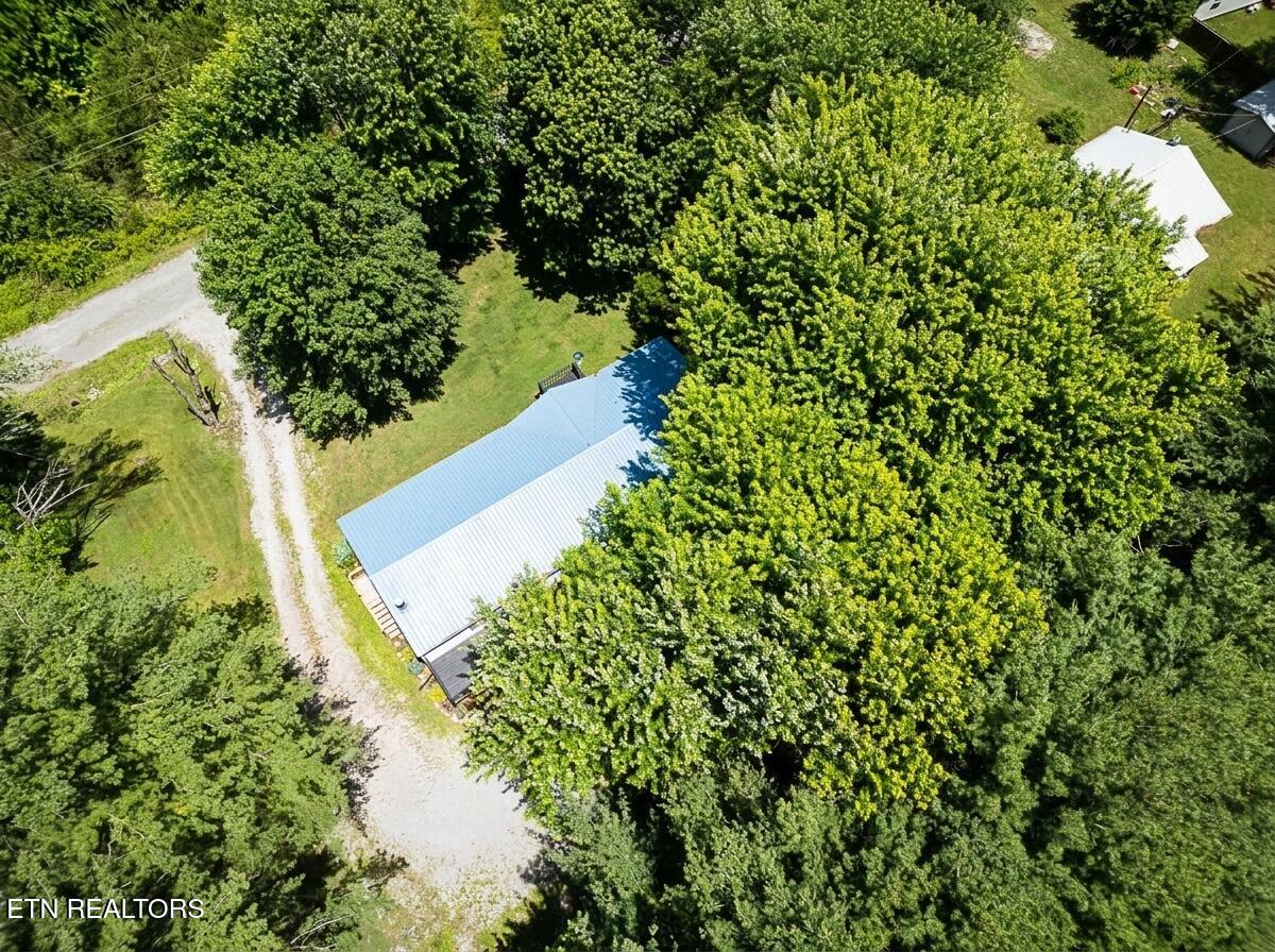 419 Tulip Avenue Jamestown TN 38556