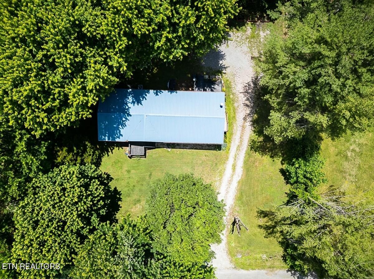 419 Tulip Avenue Jamestown TN 38556