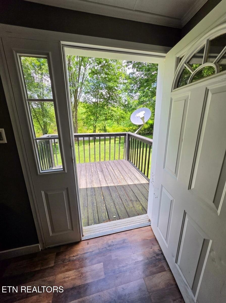 419 Tulip Avenue Jamestown TN 38556