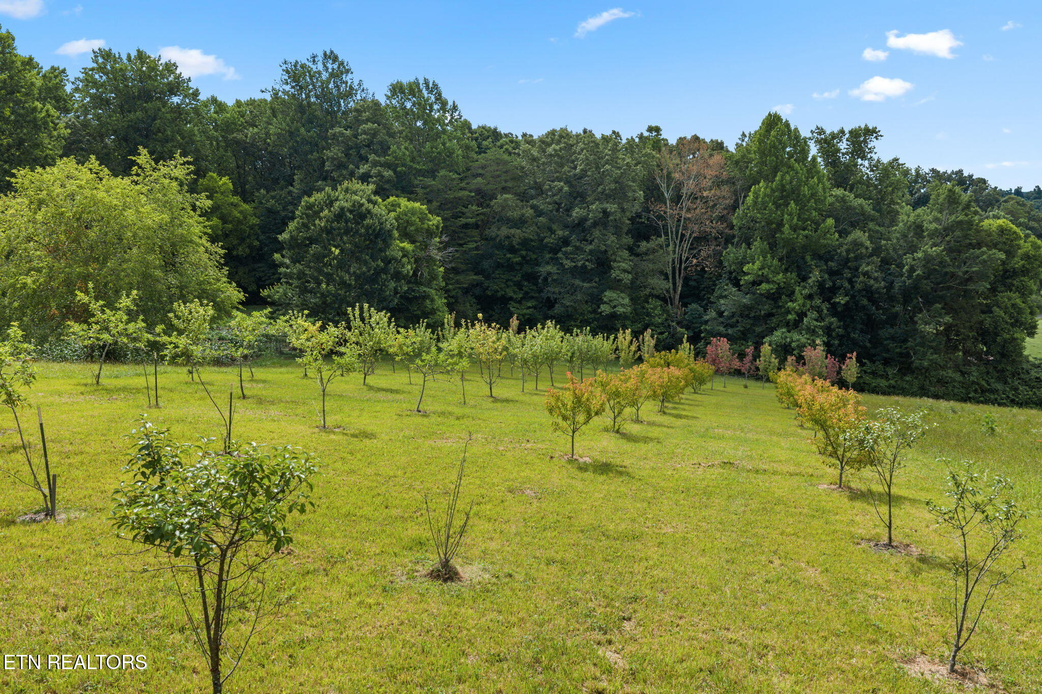 260 Long Hollow Road Clinton TN 37716