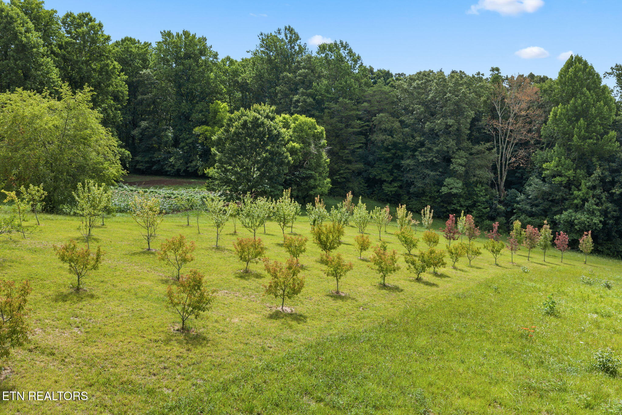 260 Long Hollow Road Clinton TN 37716