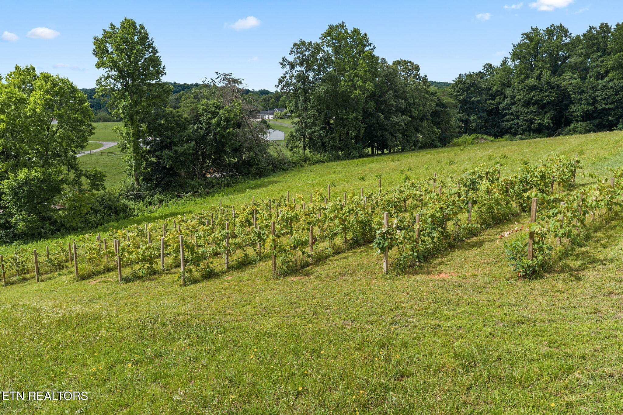 260 Long Hollow Road Clinton TN 37716