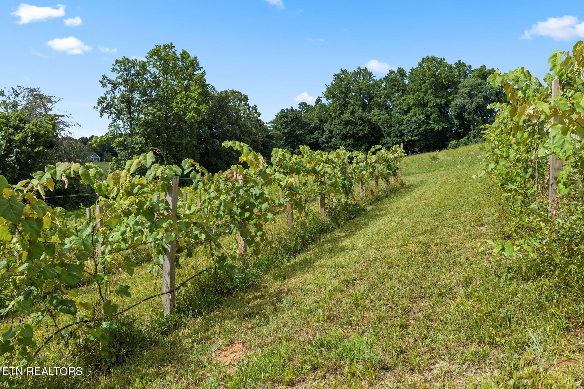 260 Long Hollow Road Clinton TN 37716