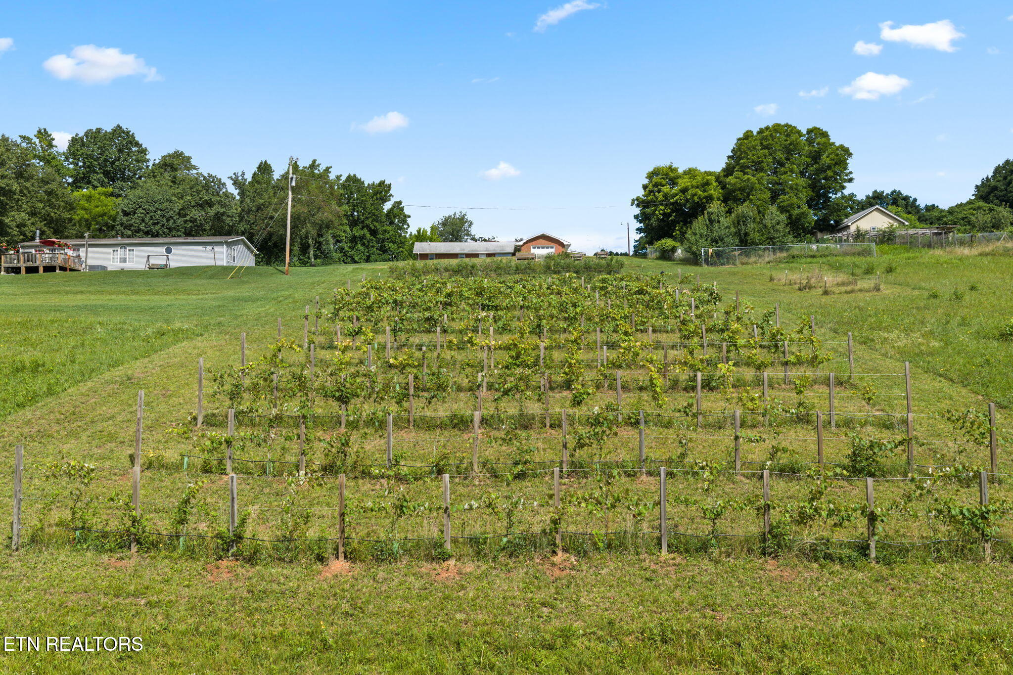 260 Long Hollow Road Clinton TN 37716