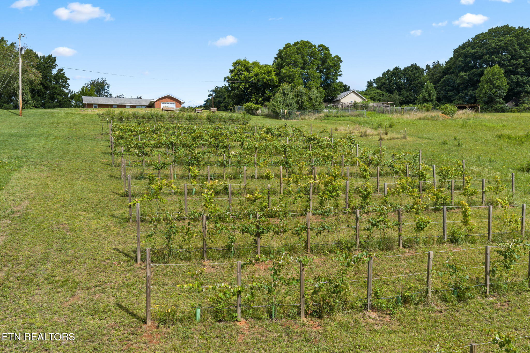 260 Long Hollow Road Clinton TN 37716