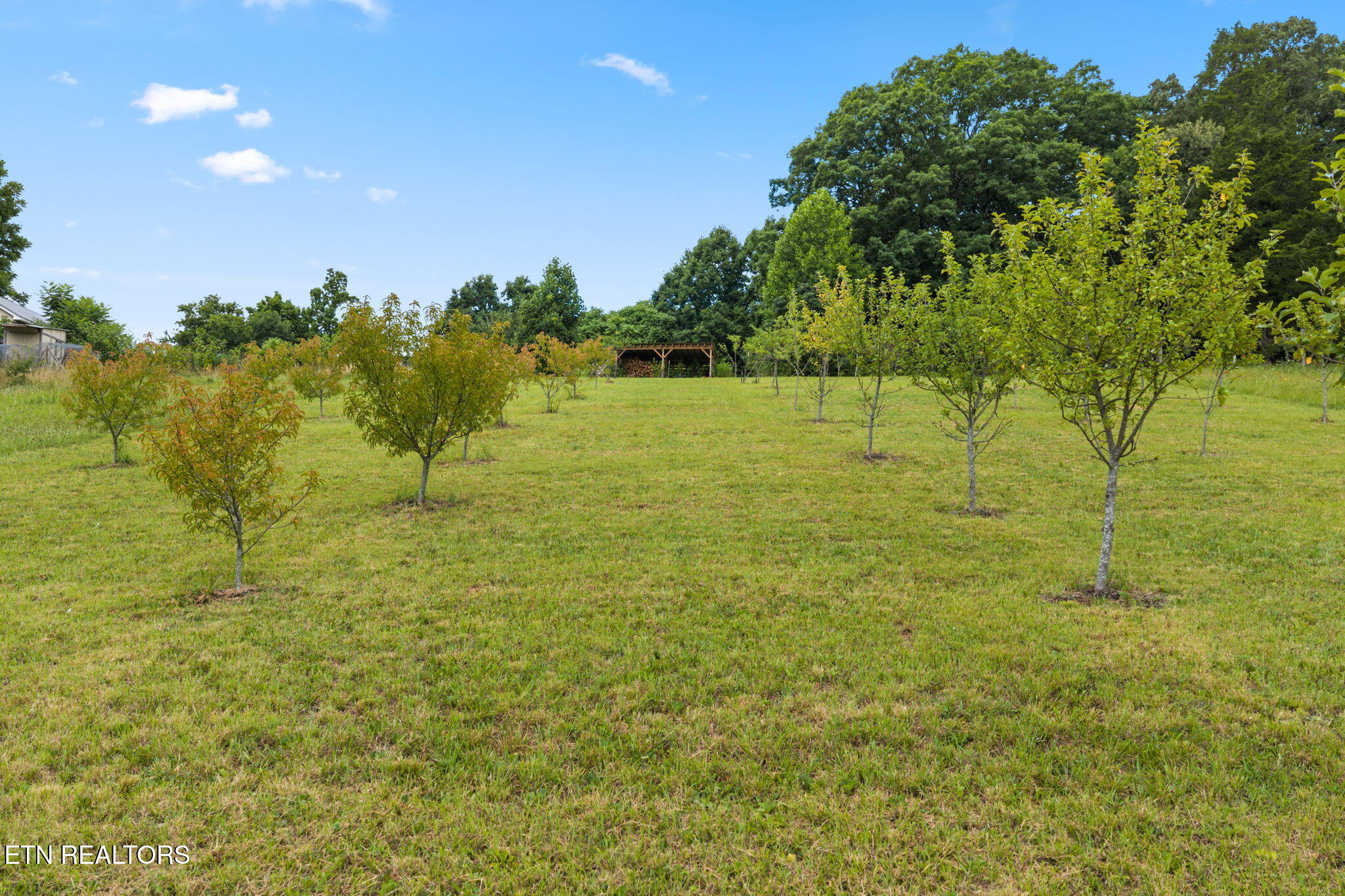 260 Long Hollow Road Clinton TN 37716