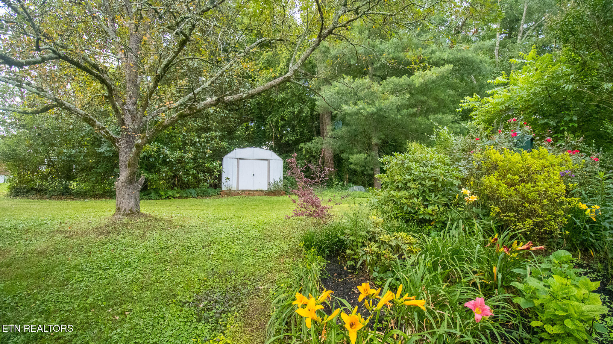 321 Creekmoor Drive Jefferson City TN 37760